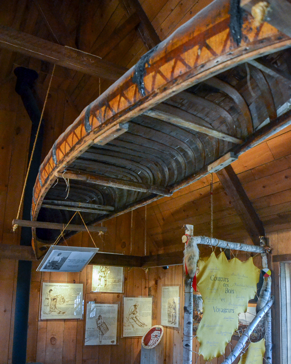 A North American paper birch canoe hangs from the rafters displaying its intricate framework of ribs, usually made from white cedar.