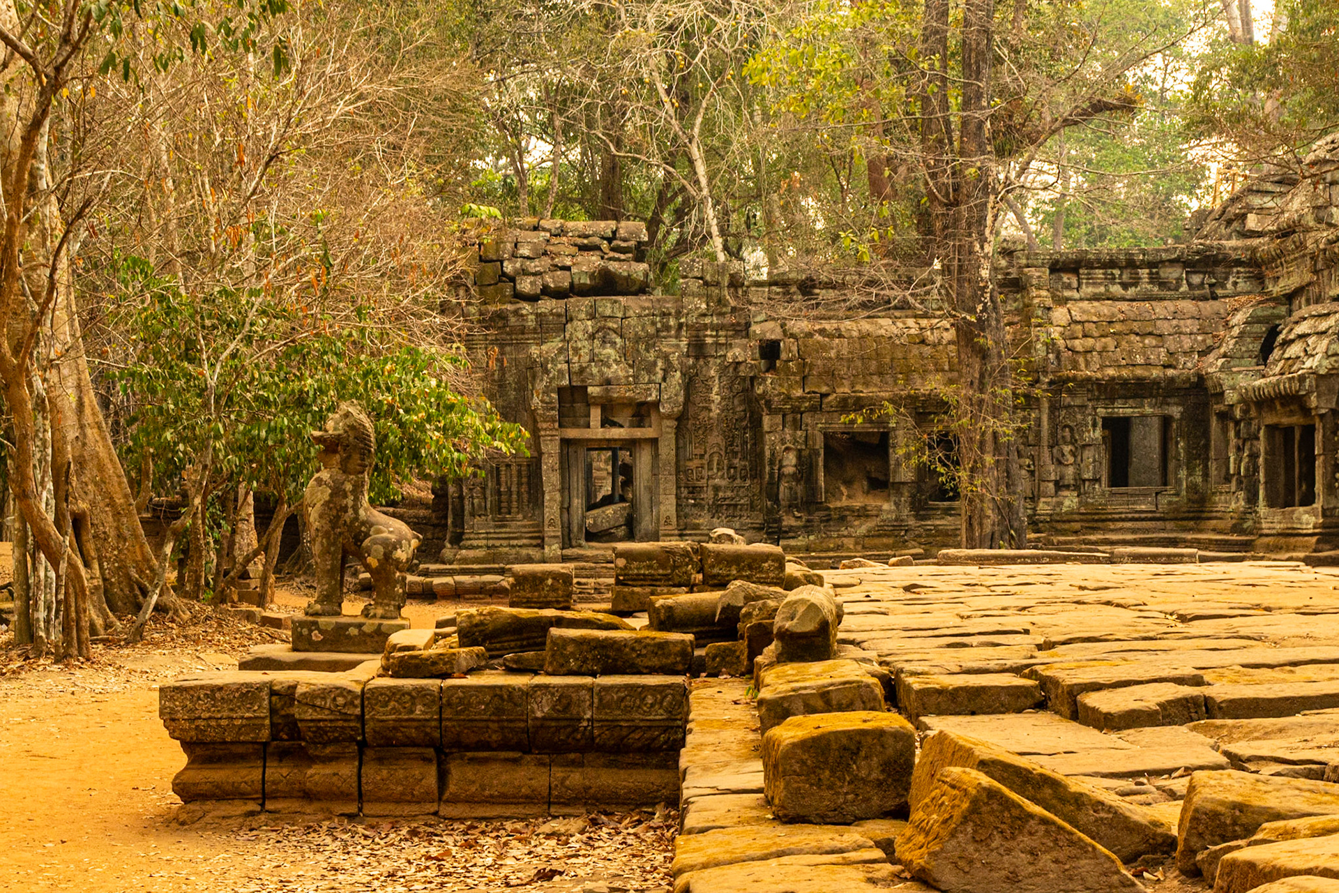 Loose blocks of stone displaced by the ever-encroaching jungle.