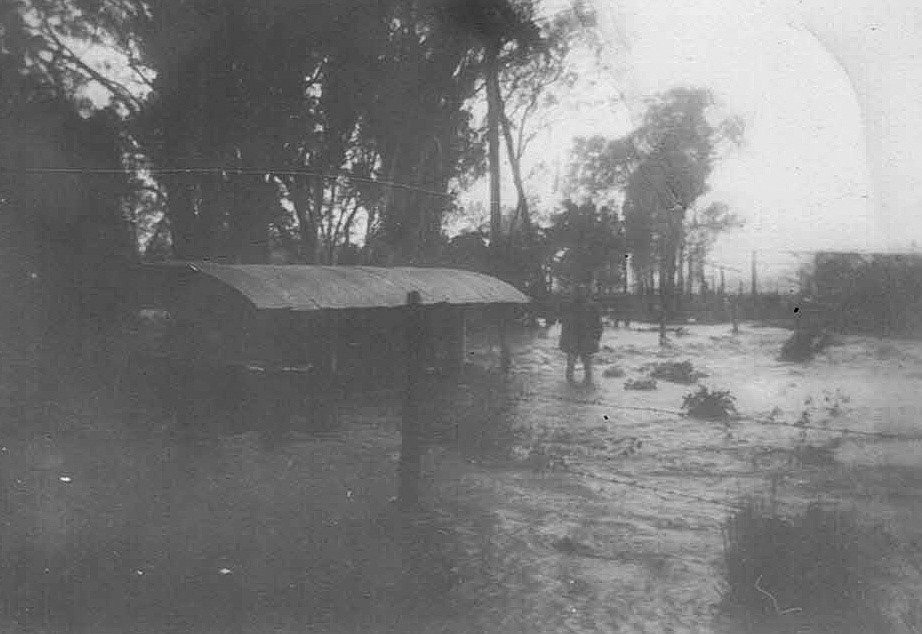 Flood water flowing past the goose pen and orchid.