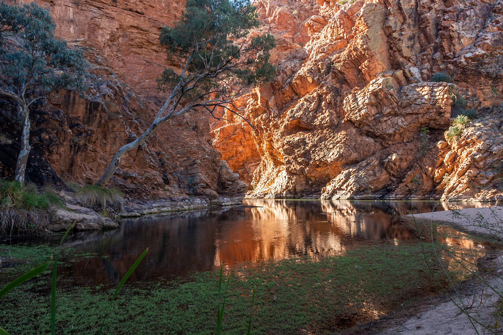 Ellery Creek Big Hole.....reputedly always has water in it