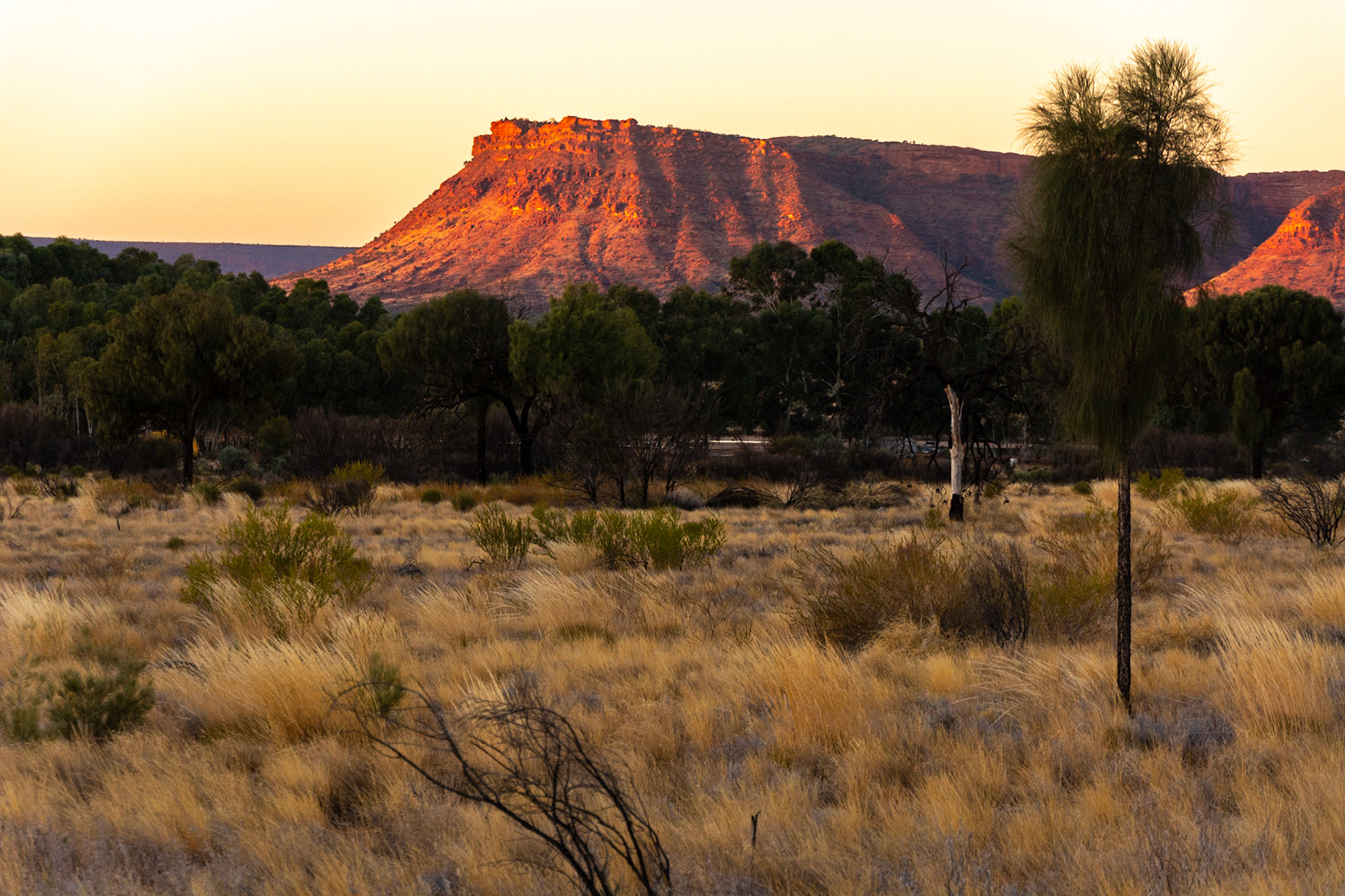 The setting sun highlights the severe escarpment of the George Gill Range