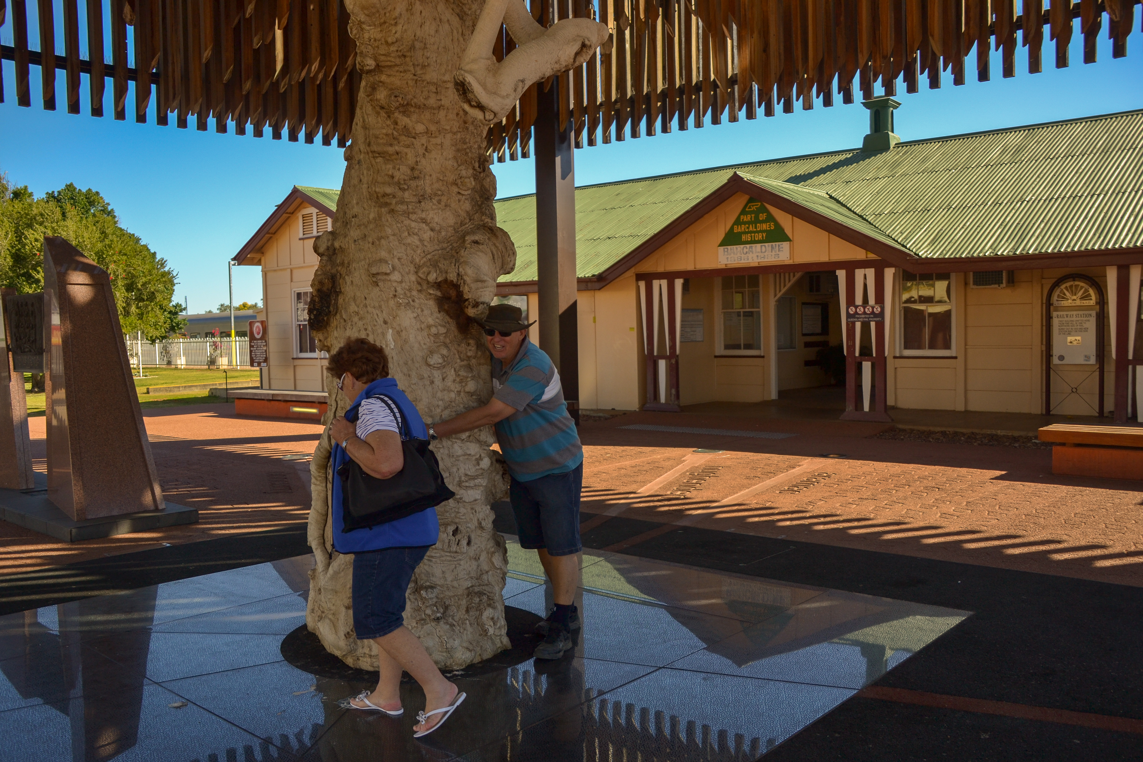 Allan gest personal with the "Tree of Knowledge", Barcaldine.