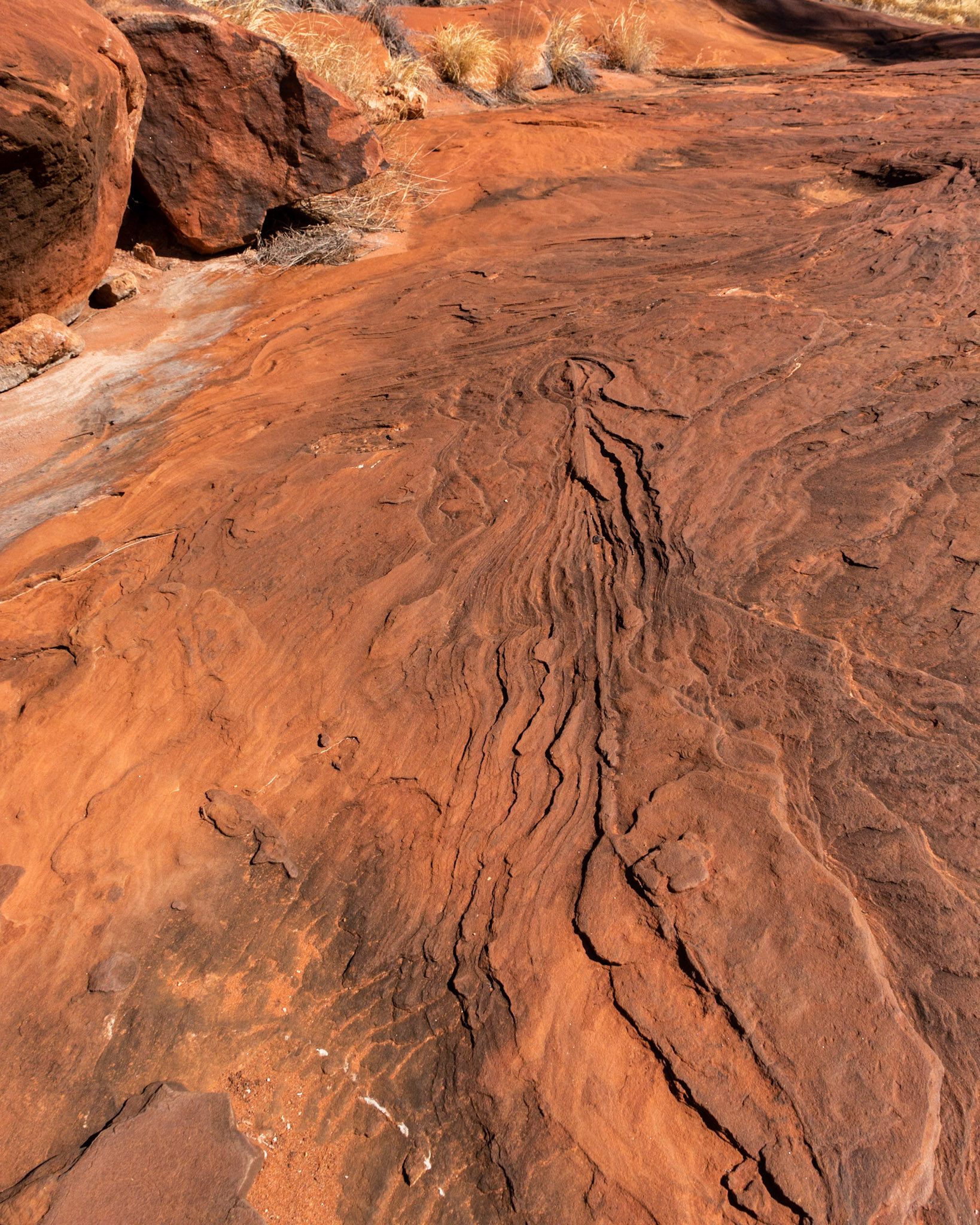 Layered patterns in the exposed bedrock