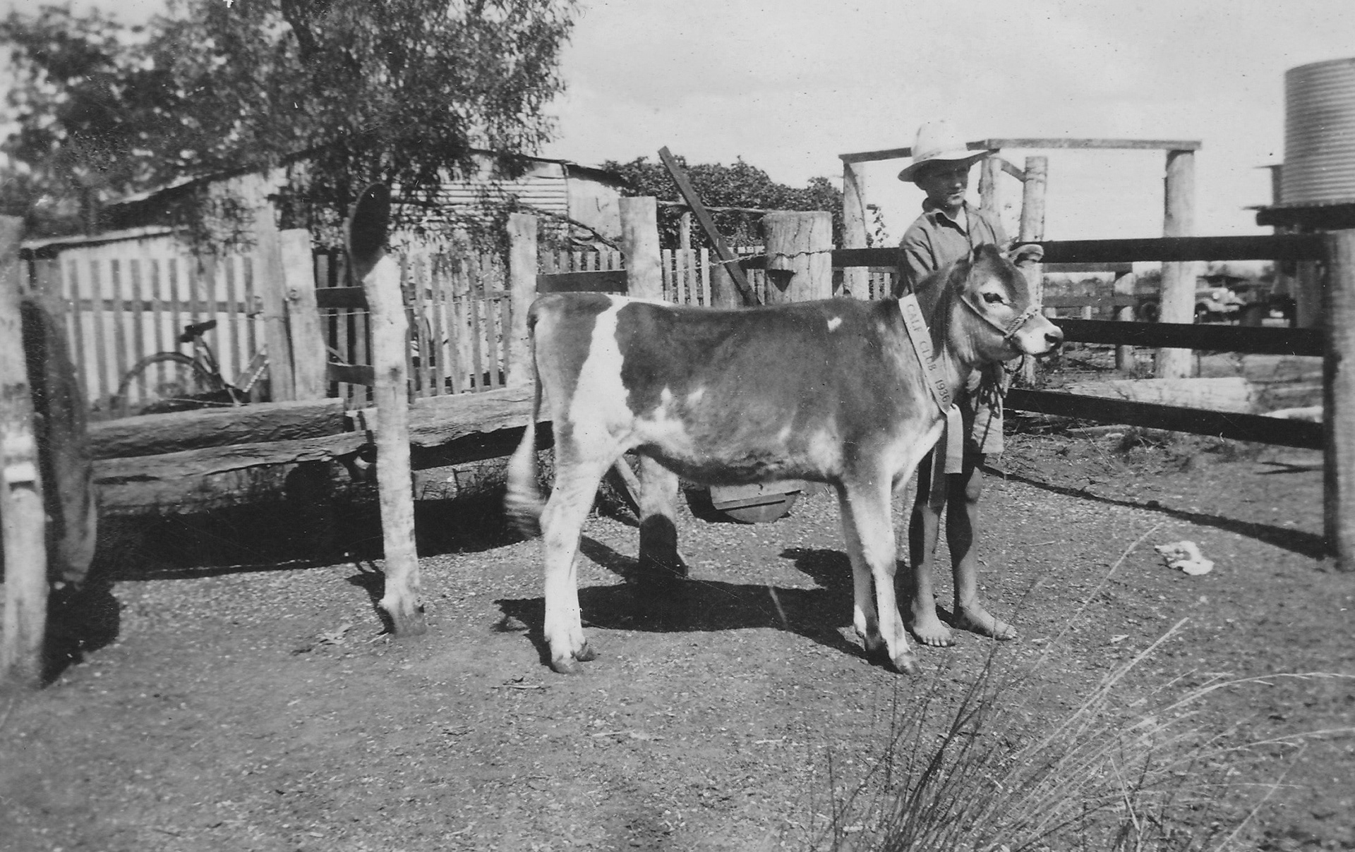 Ed and his prize-winning calf - 1936