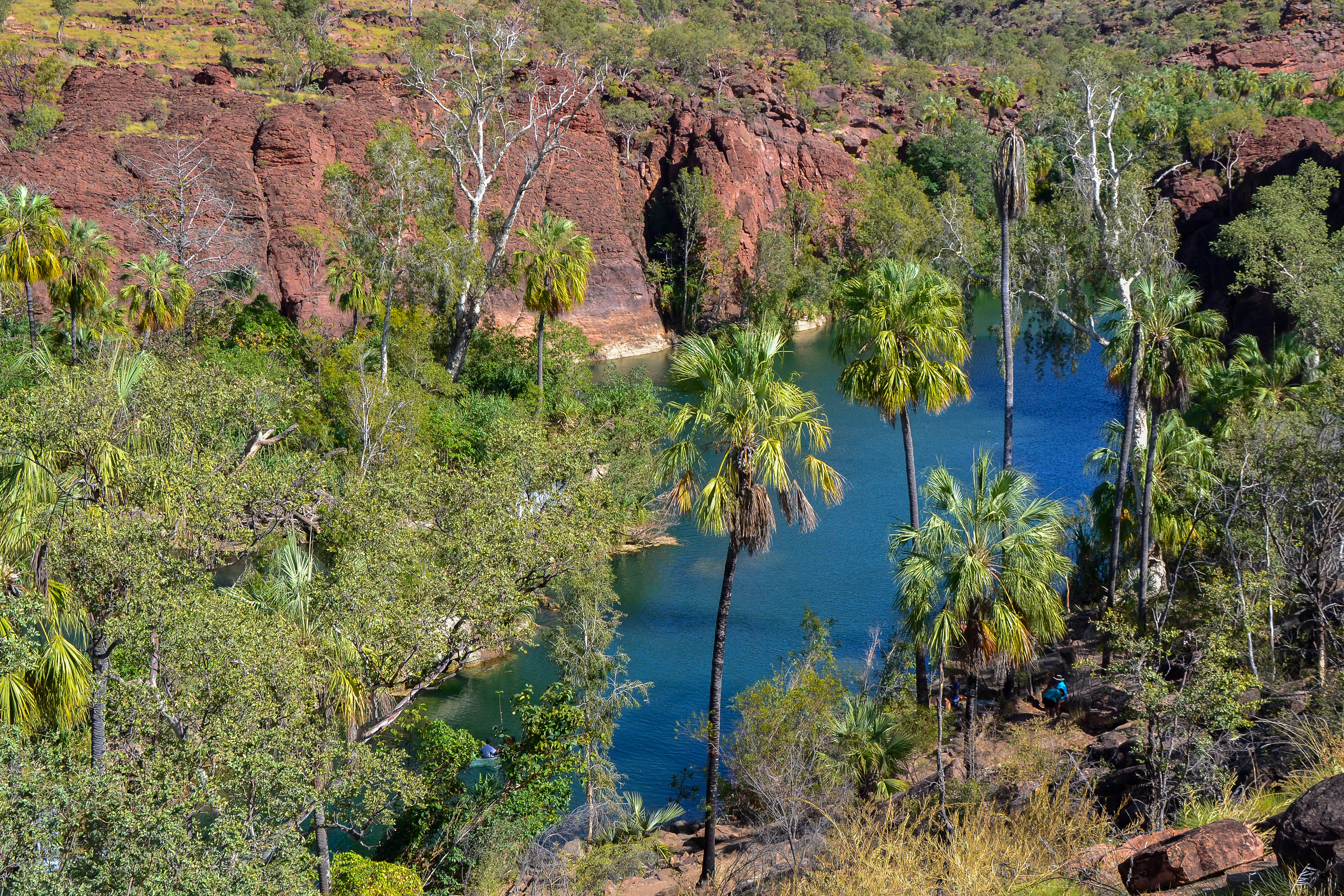 Lawn Hill Gorge.