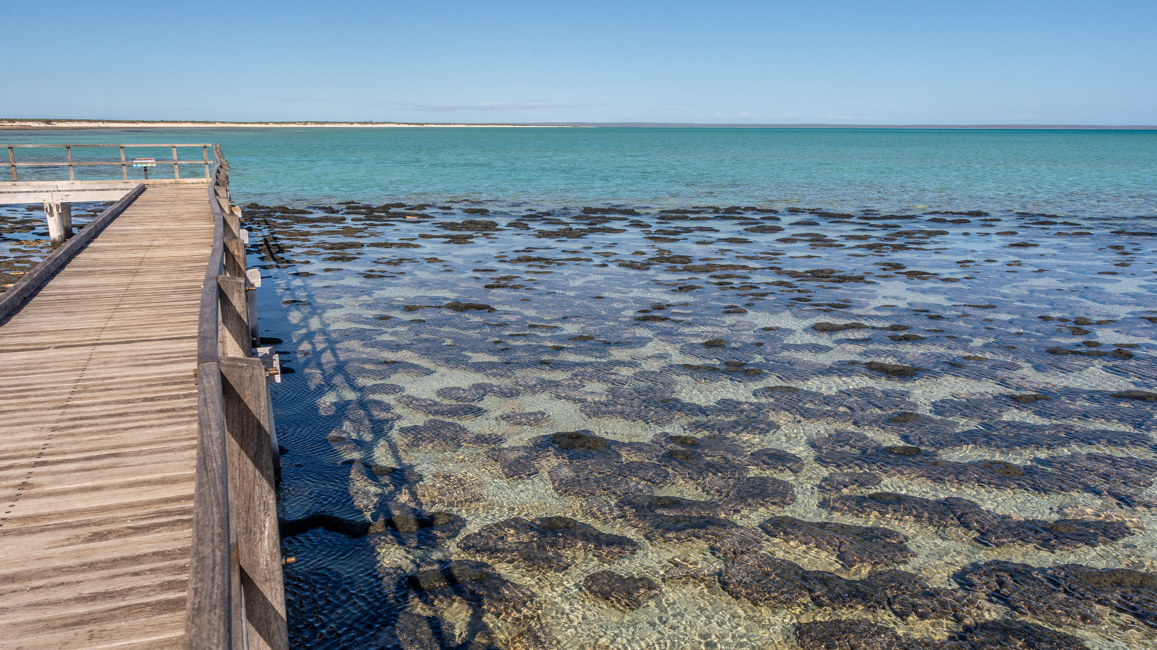 Hamelin Pool - contains the most diverse range of stromatolites and microbial diversity in the world. Stromatolites are an example of the earliest record of life on earth.