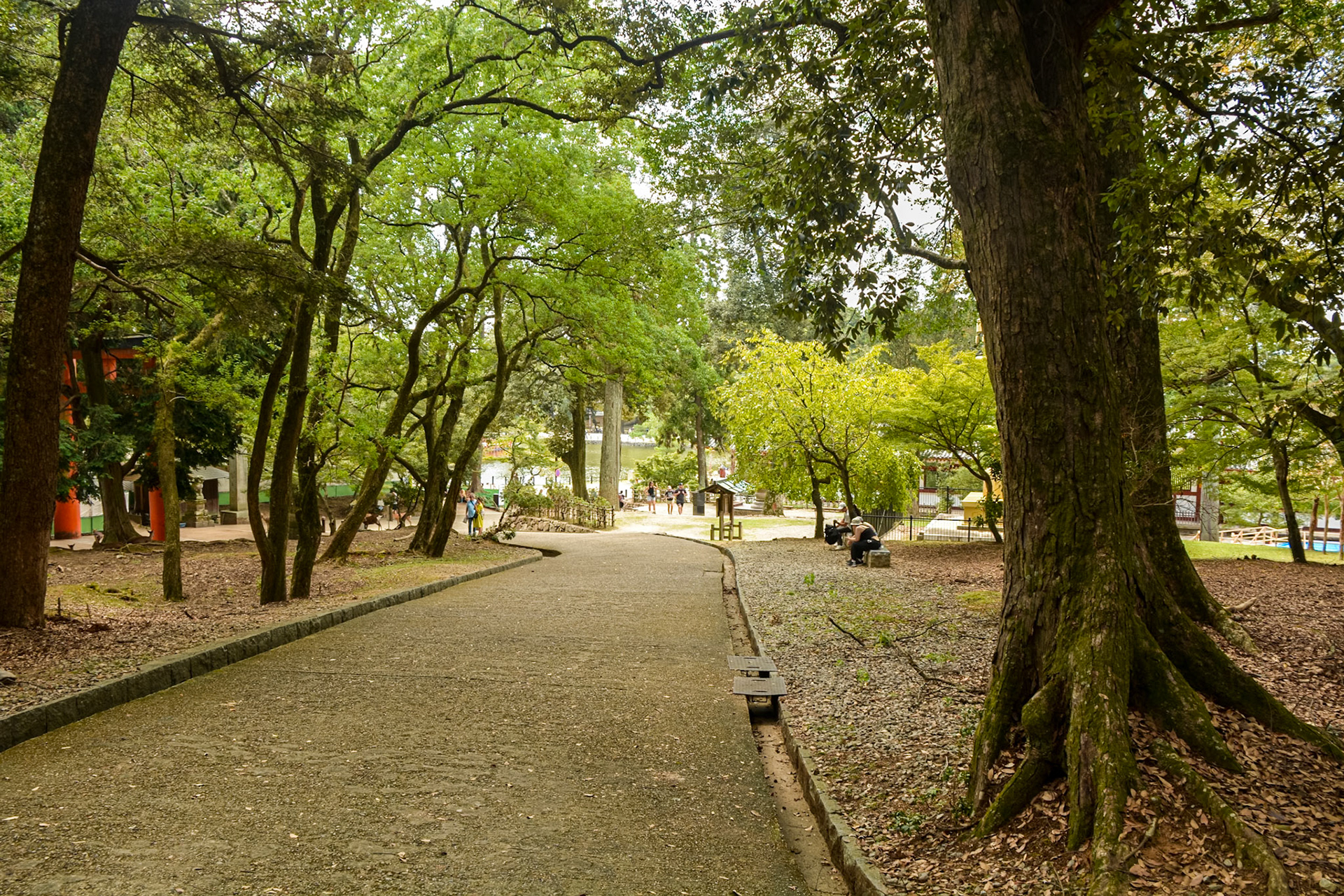 Todaiji Temple -Nara parklands.