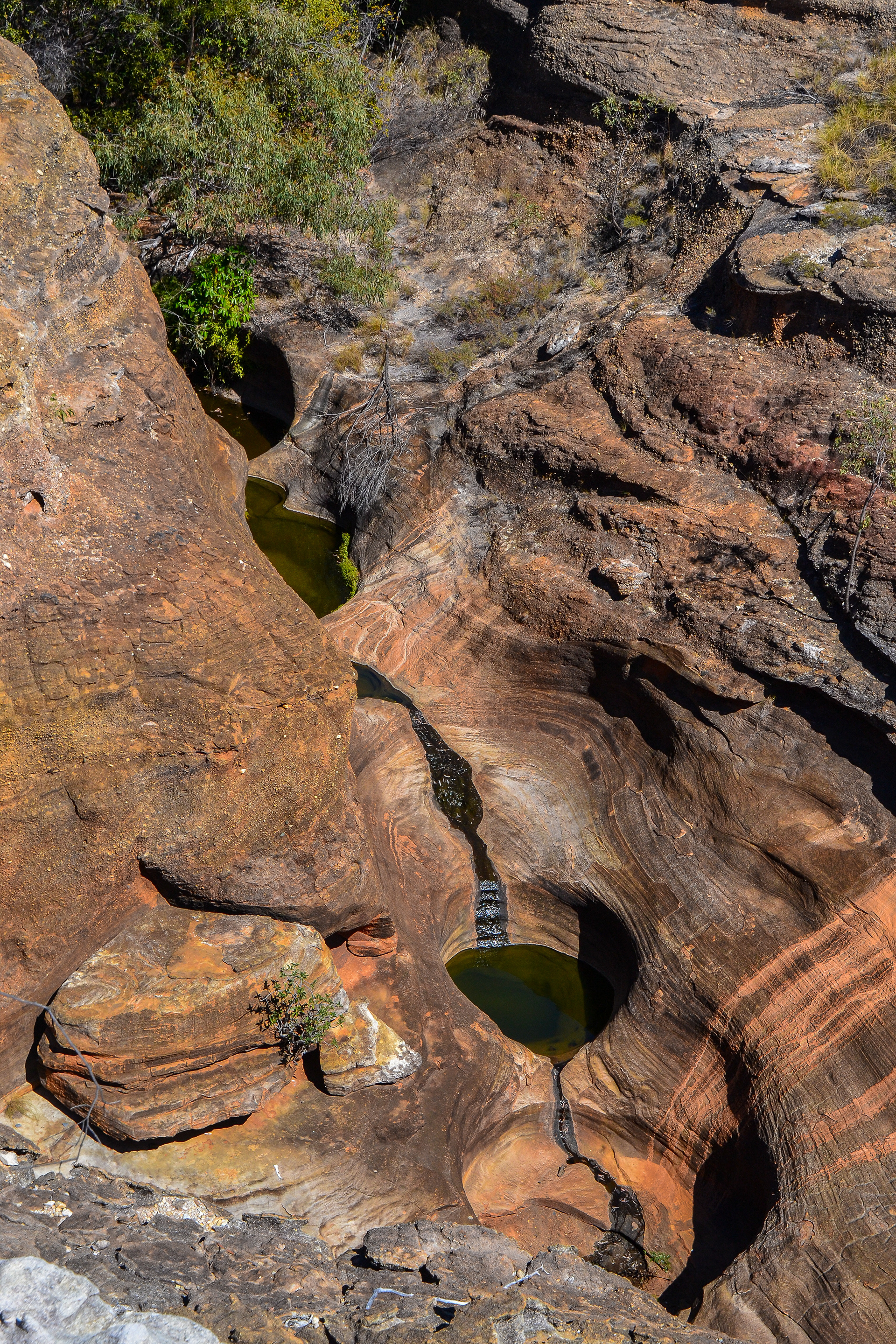 Circular sink holes in the gorge formed by centuries of swirling erosive action on the sandstone.