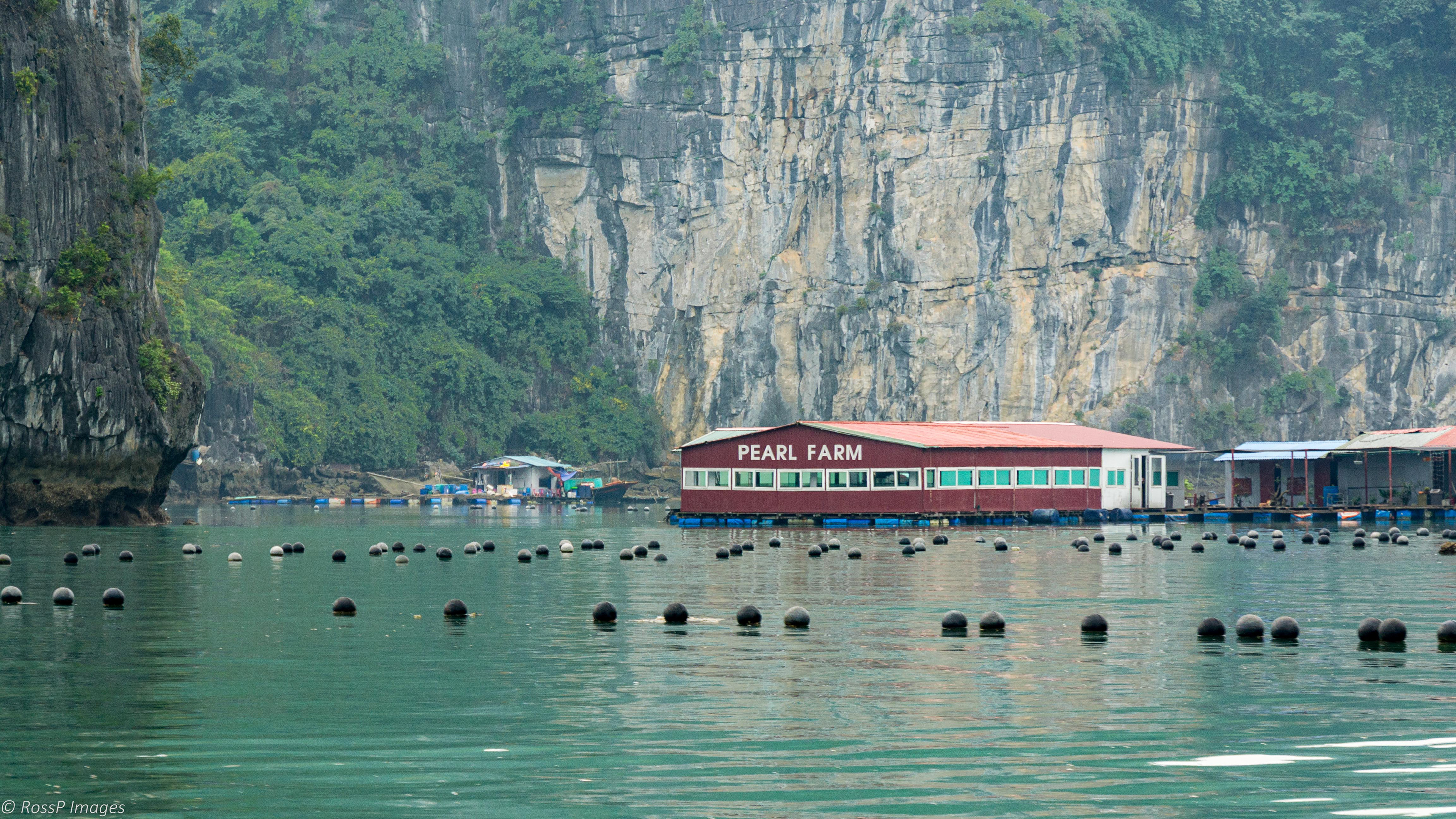 Pearling is one of the major industries in Ha Long Bay.