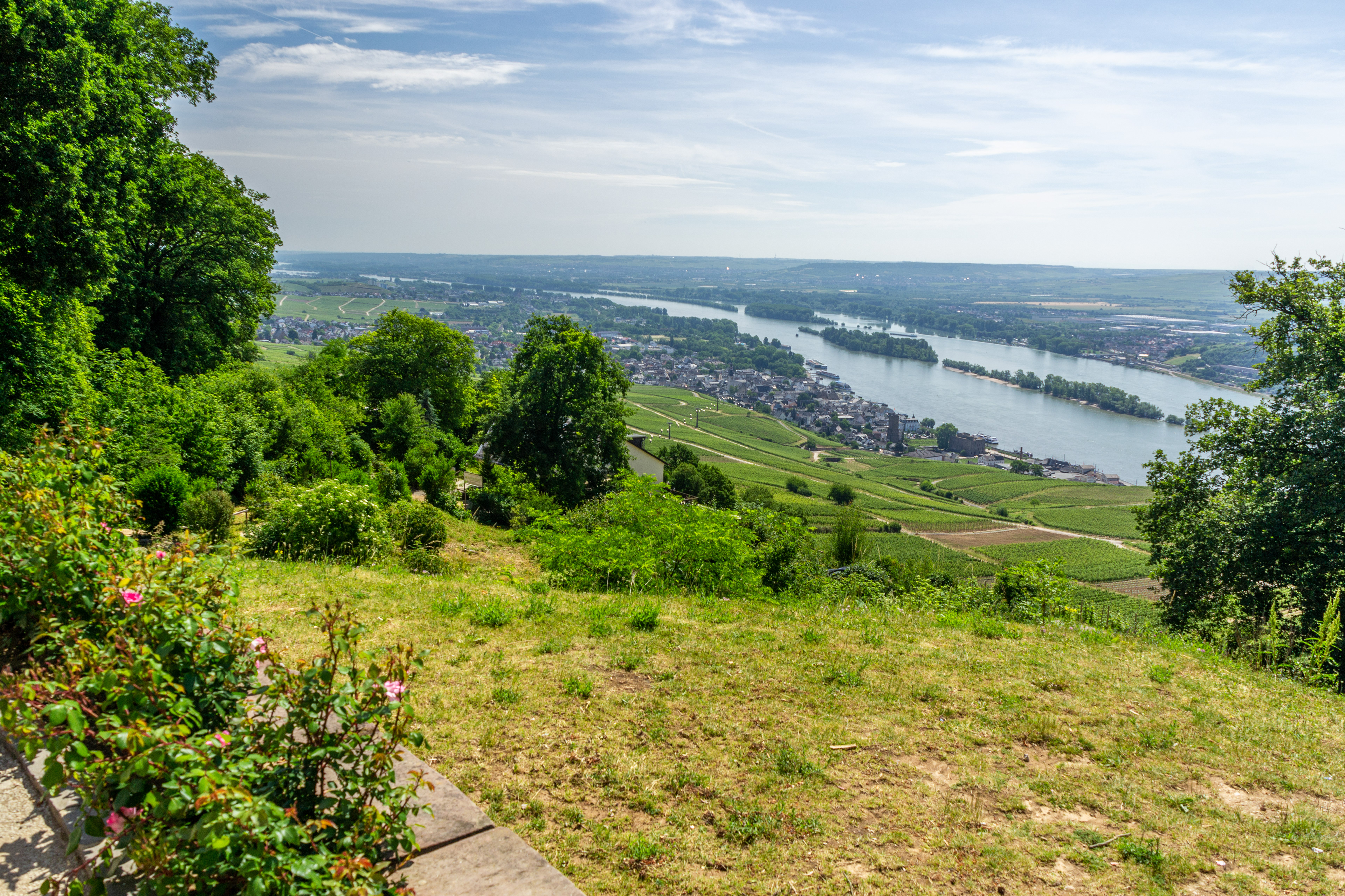A panoramic view over the Middle Rhein Valley and Rudesheim from the Neiderwald Monument.