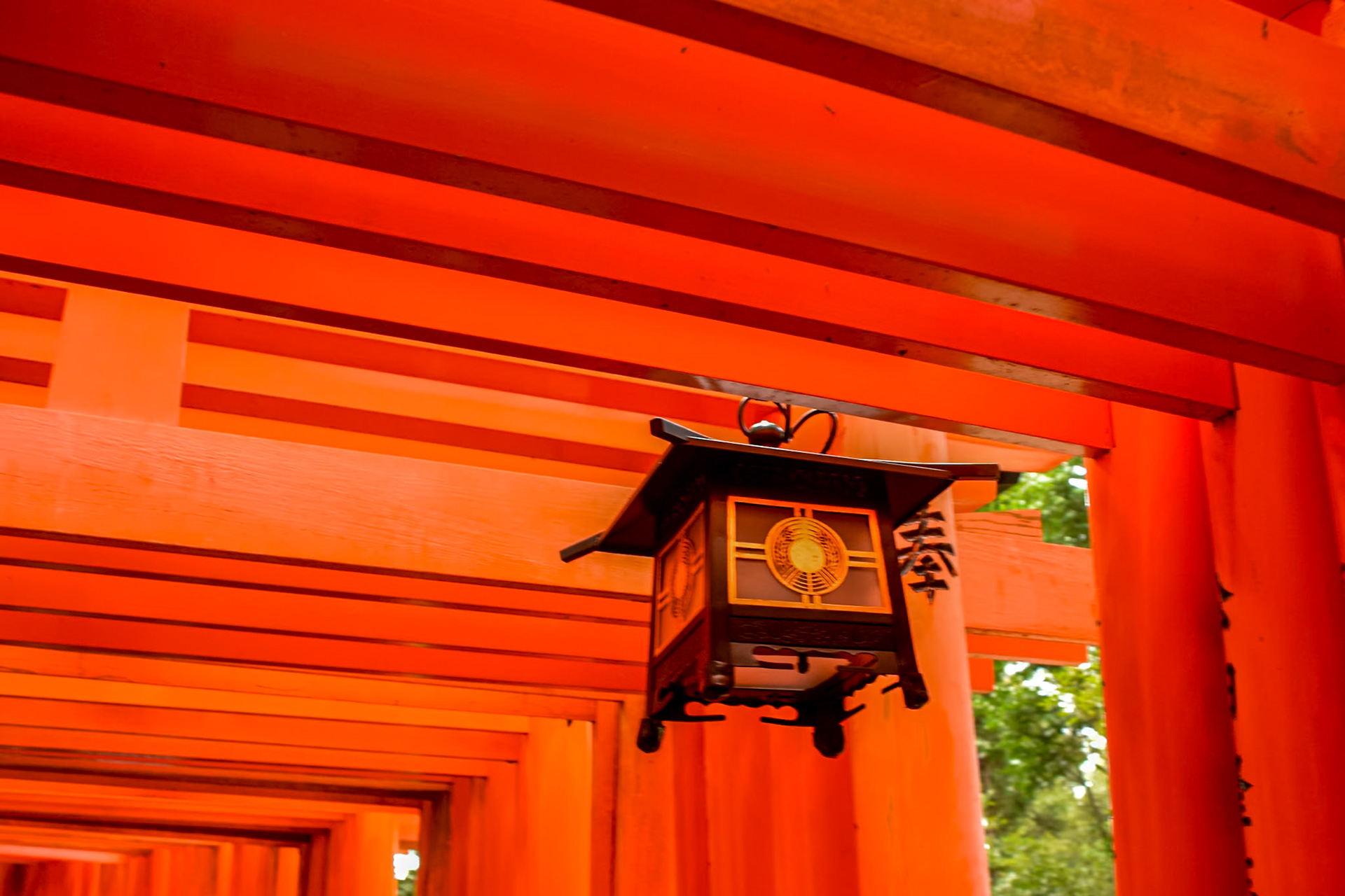 Fushimi Inari - a hanging lantern along the Torii path.