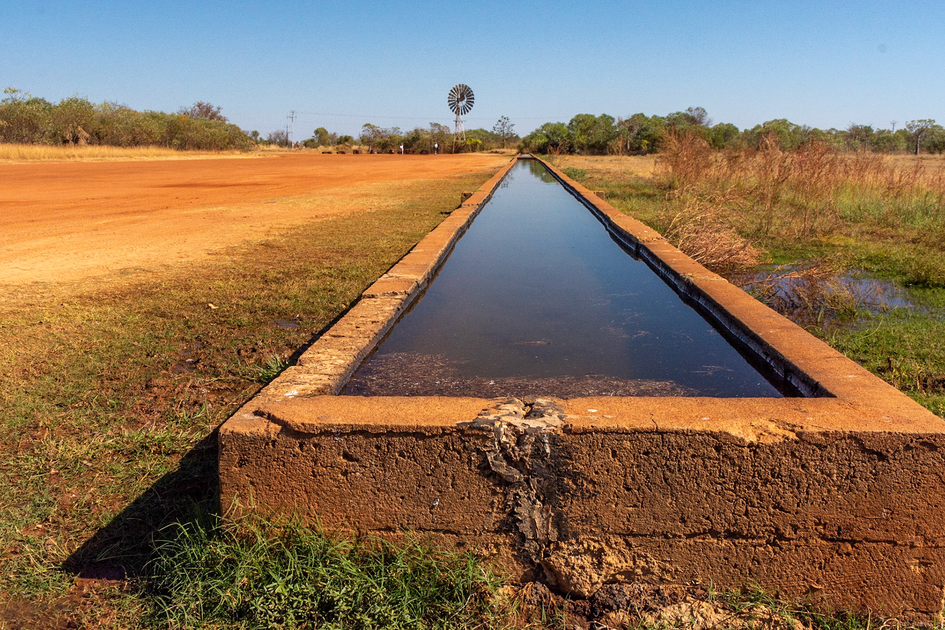 Myalls Bore trough..... 120m long and fed from the windmill at the far end. Drilled in 1910 it is 322m deep.