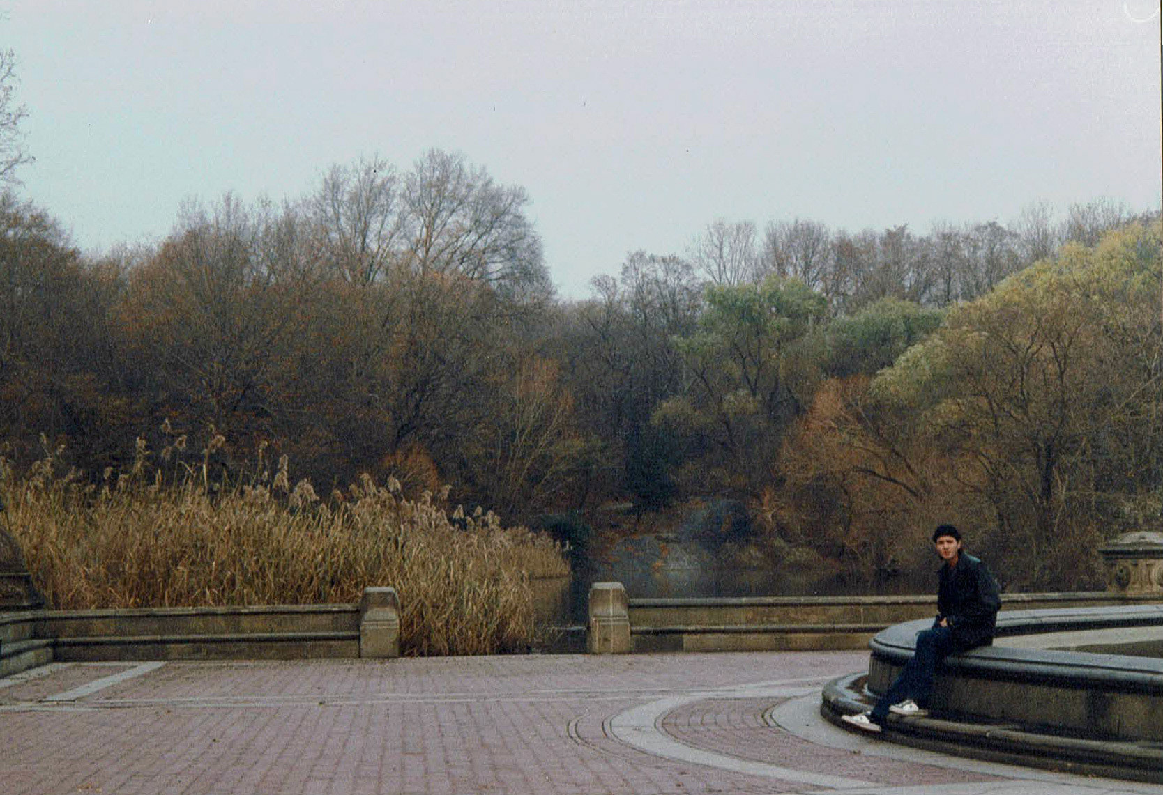 Matt - Central Park