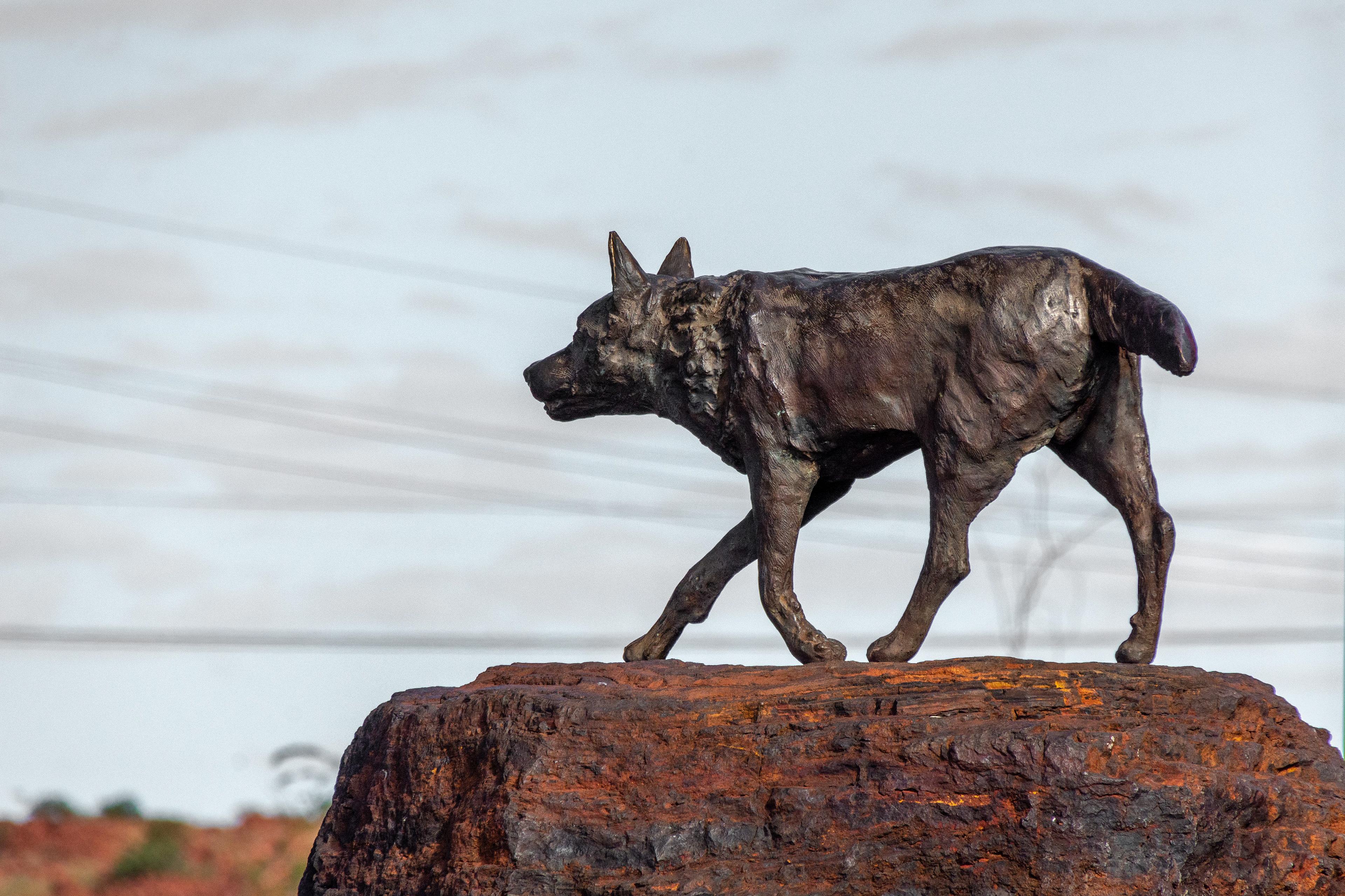Dampier - Red Dog