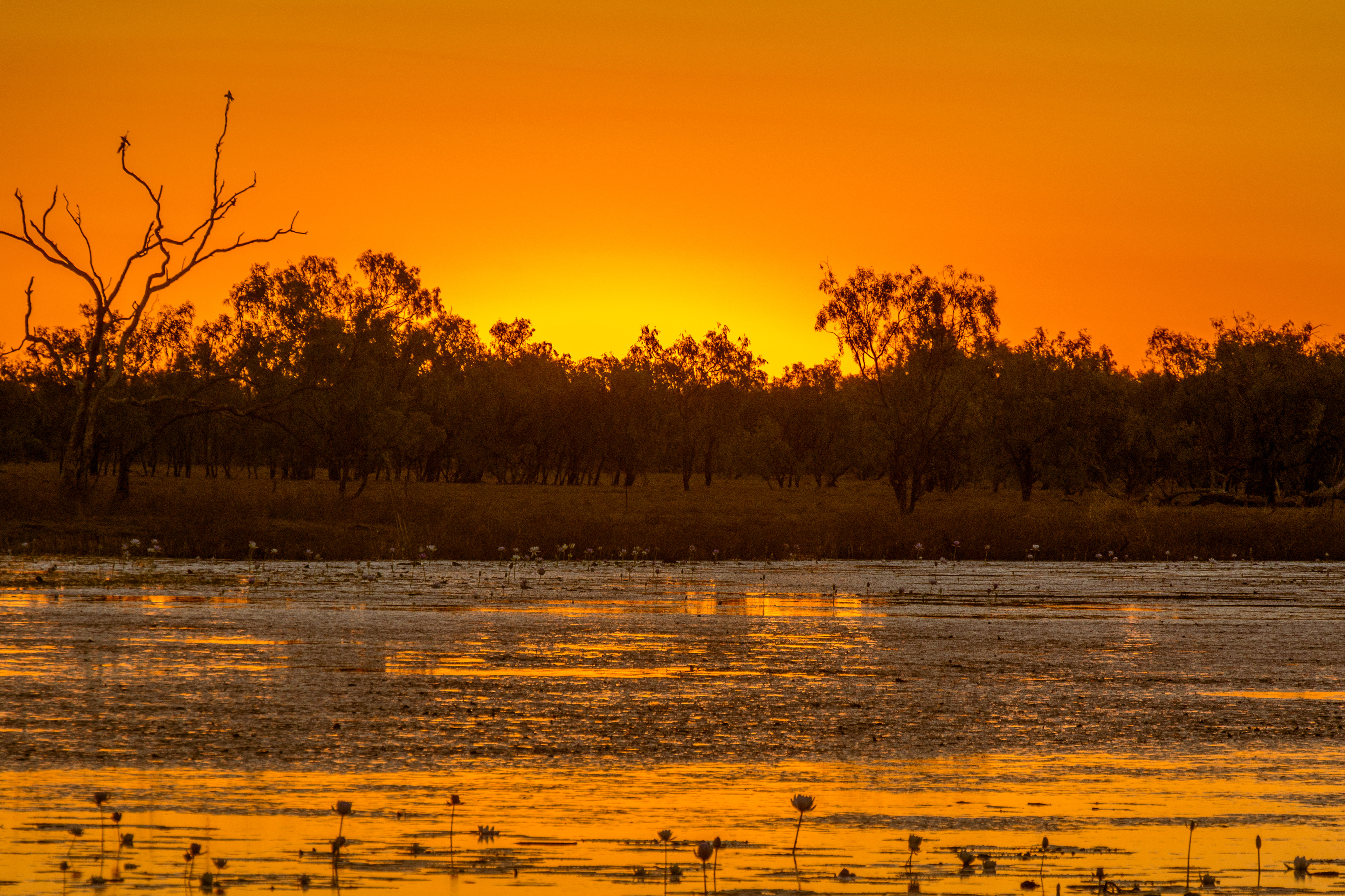 Trees fringing the lagoon are silhouetted in the last golden rays of the day.