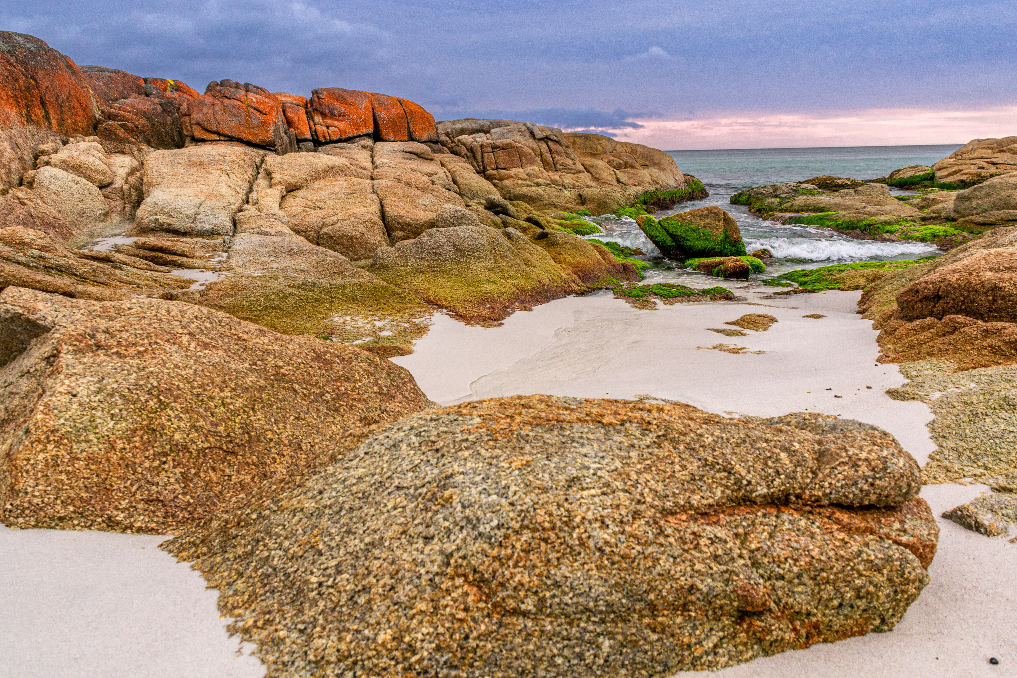 Granite boulders display the full colour palate of the Bay of Fires in the early morning light.