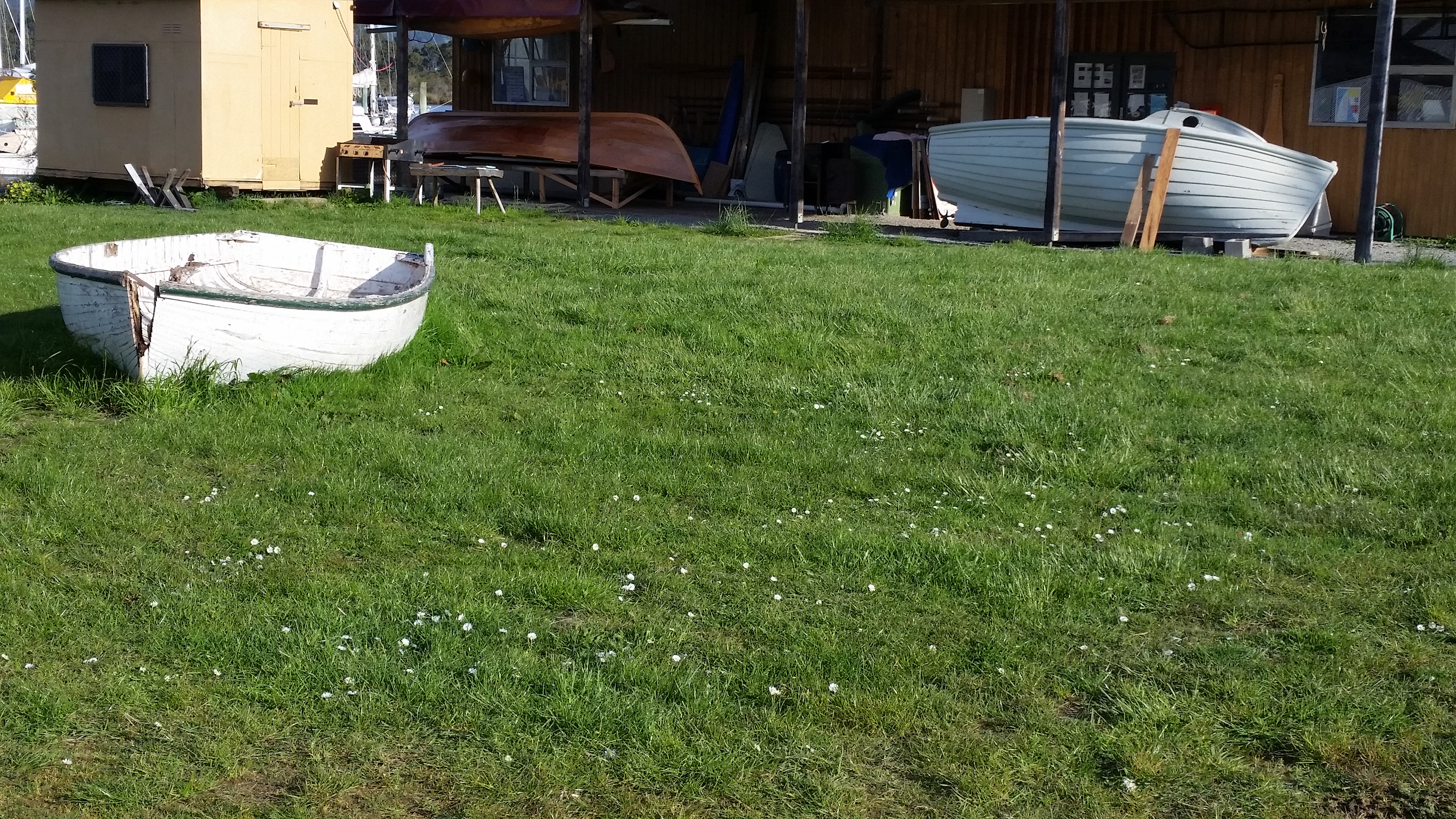 Wooden boats abound in Franklin.
