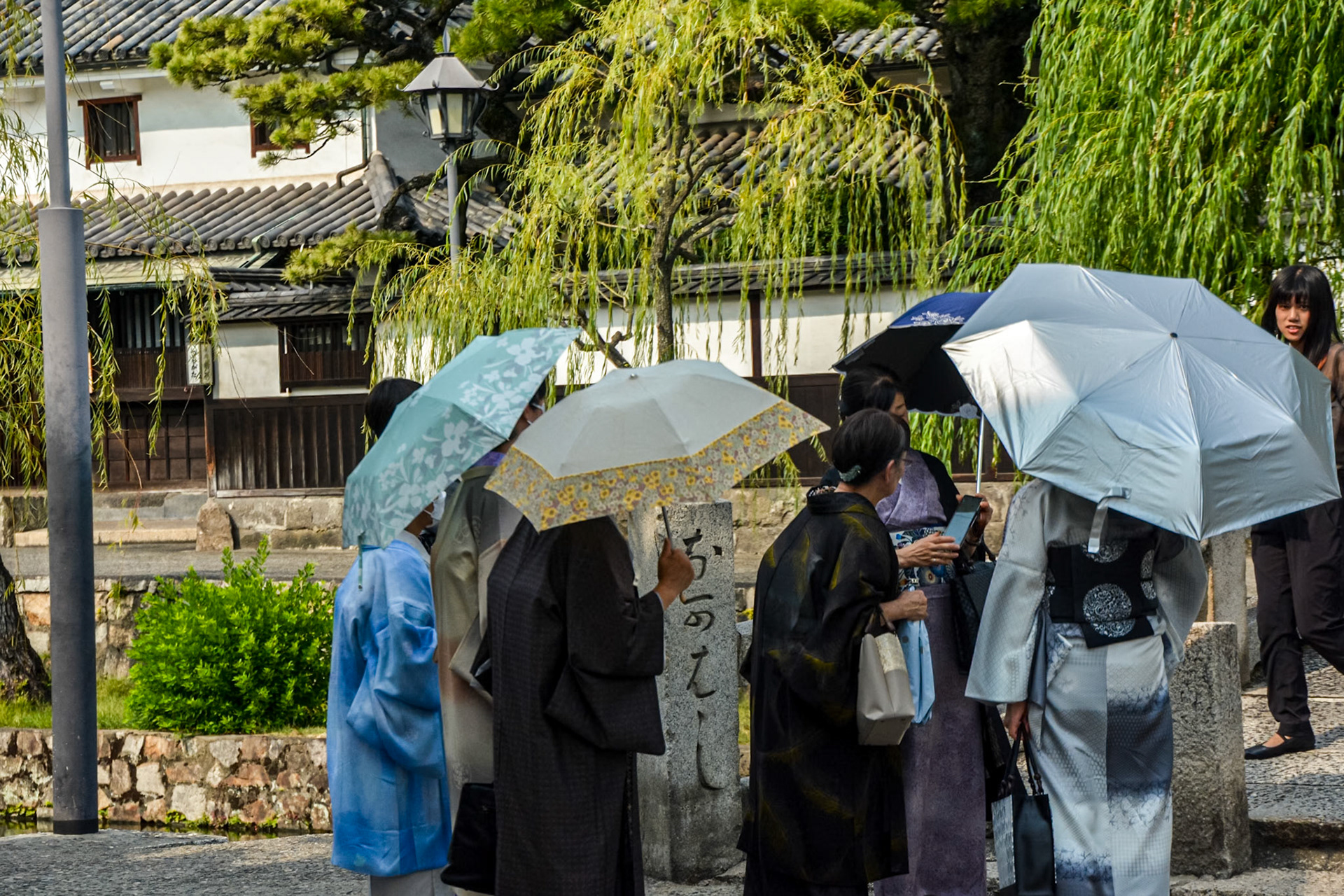 Japanese women in traditional Kimono shelter from the sun's rays beneath their parasols.