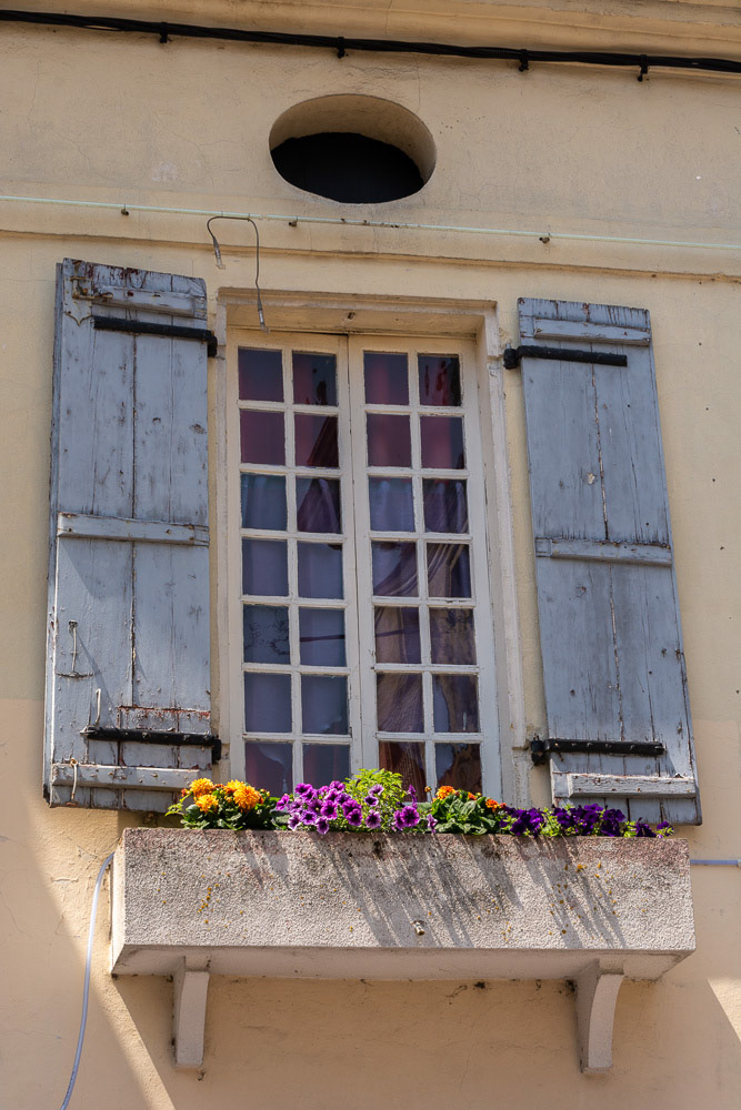 A splash of colour in the window planter.