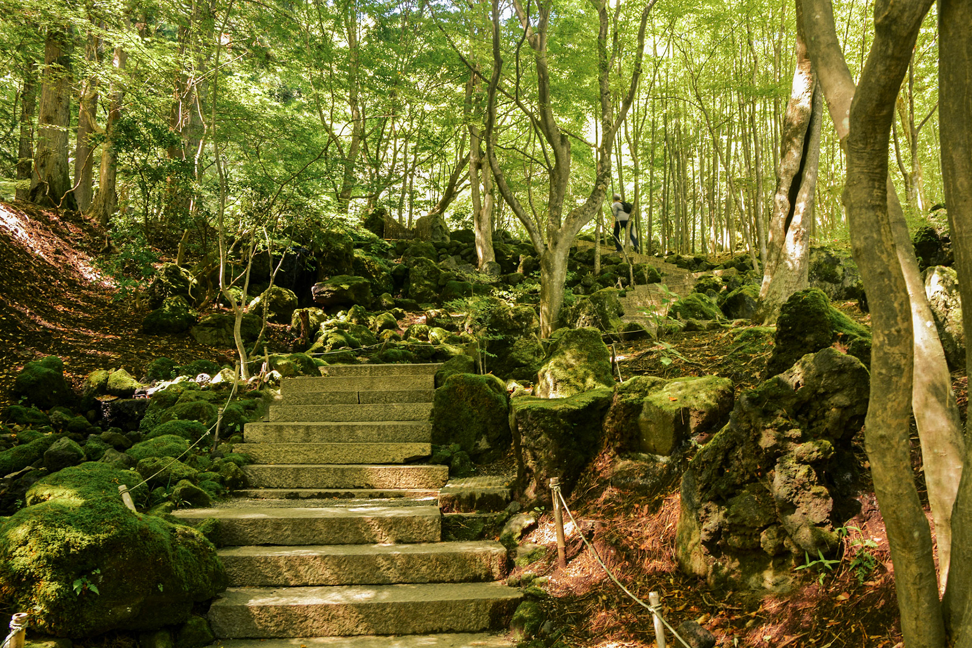 Itchikyu Kubota gardens - stairs lead to an upper garden and grotto.