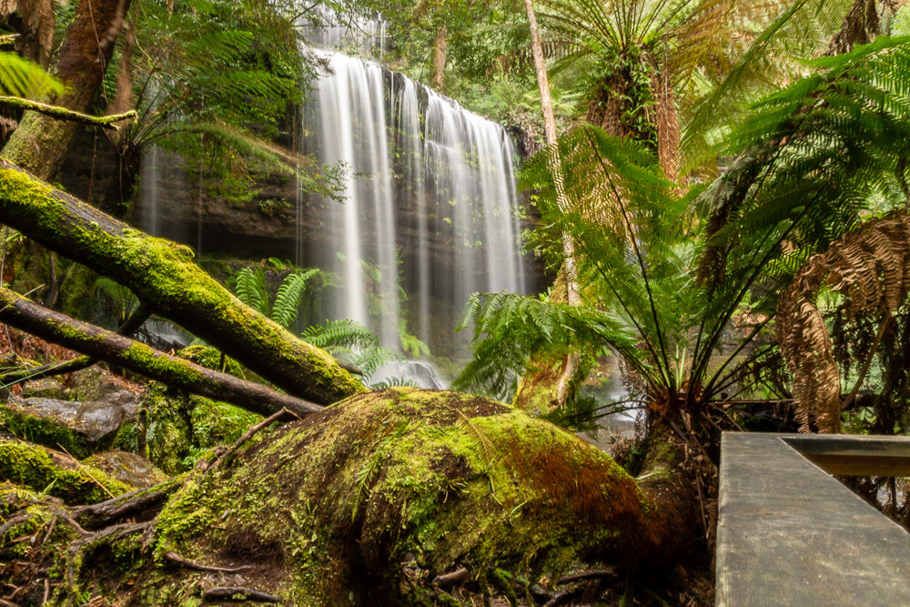 We arrive at Russell Falls.