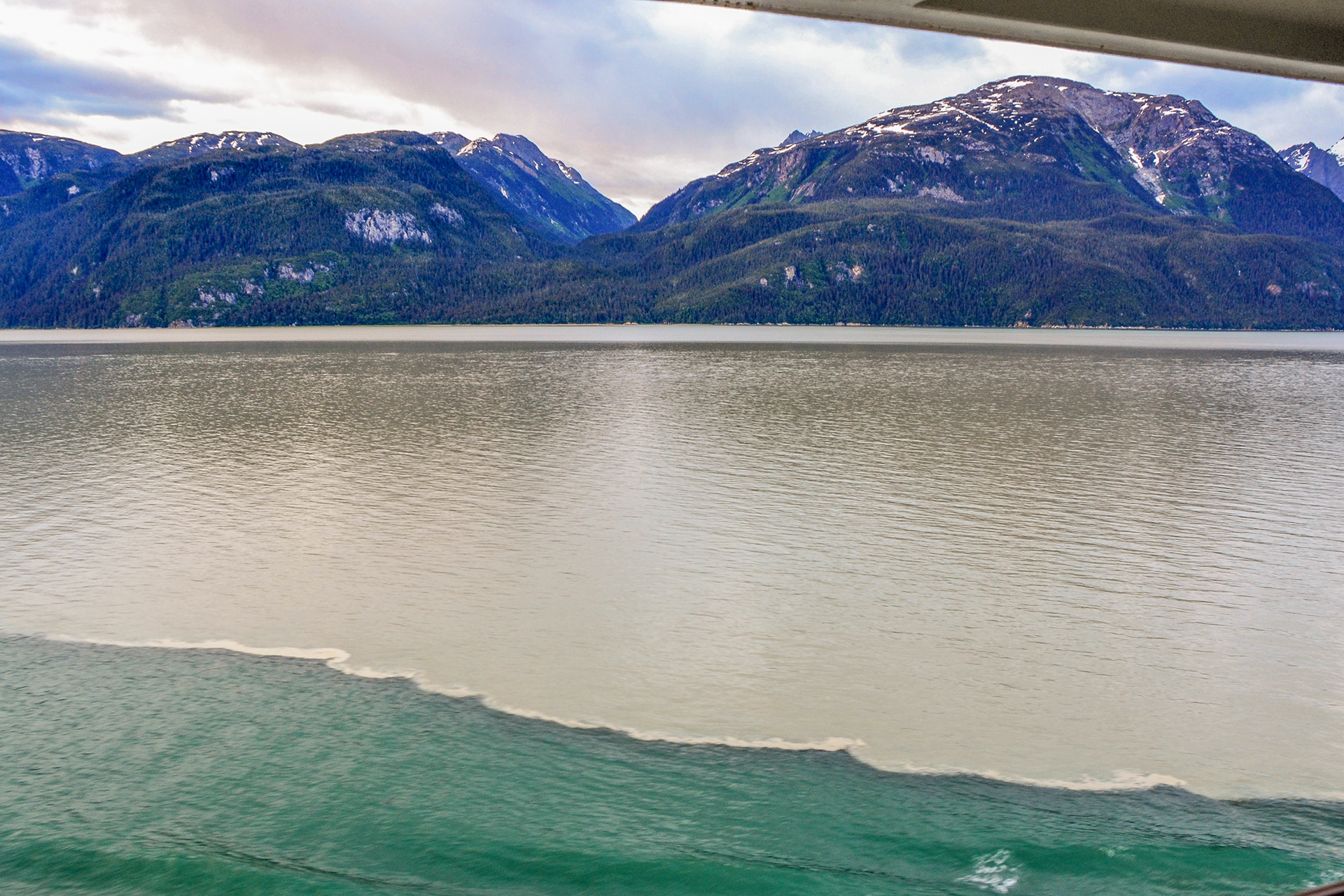 As we head deeper into the bay we encounter glacial silt suspended in meltwater making the water appear cloudy.