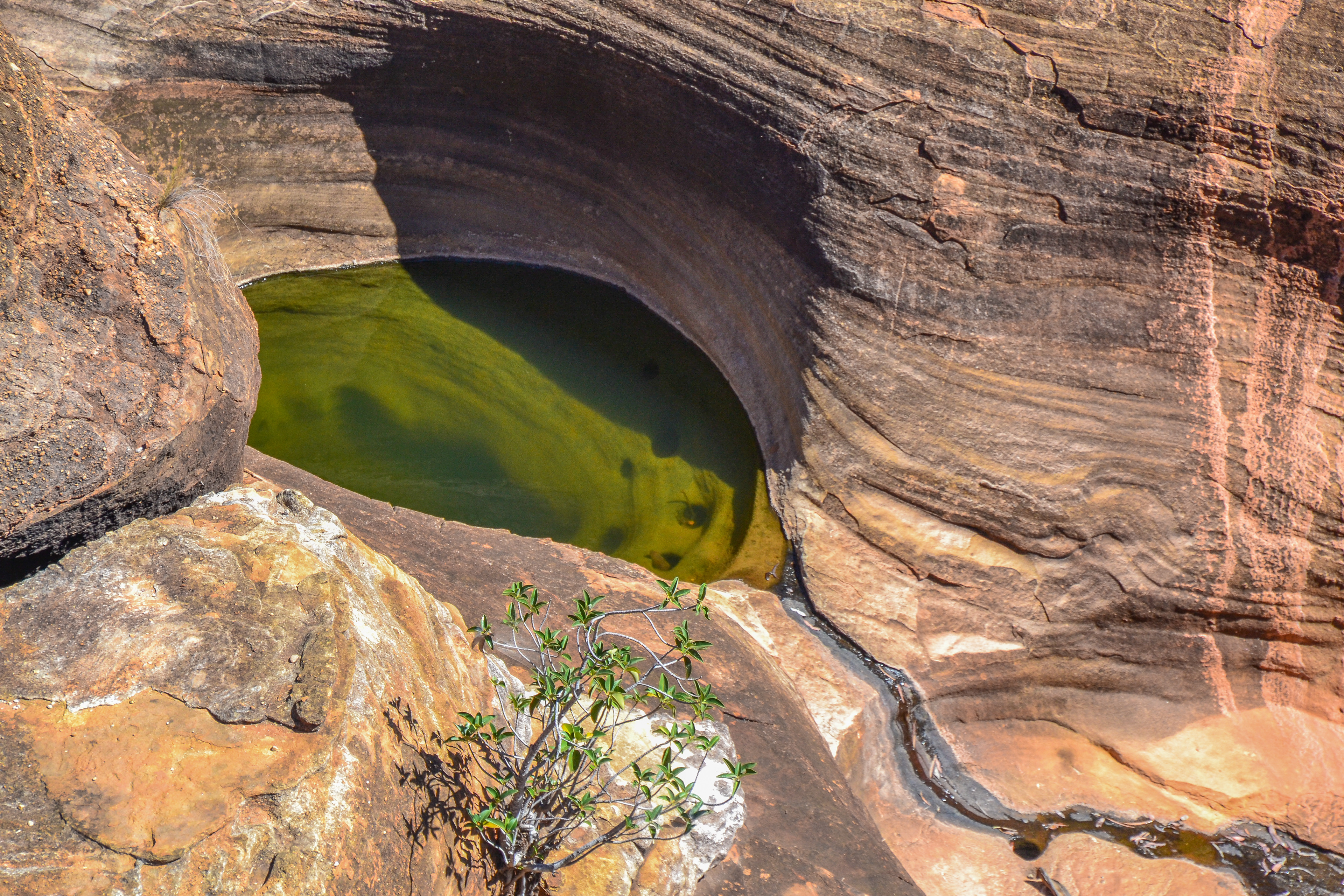A view into the depths of one of the sinkholes worn into the sandstone.