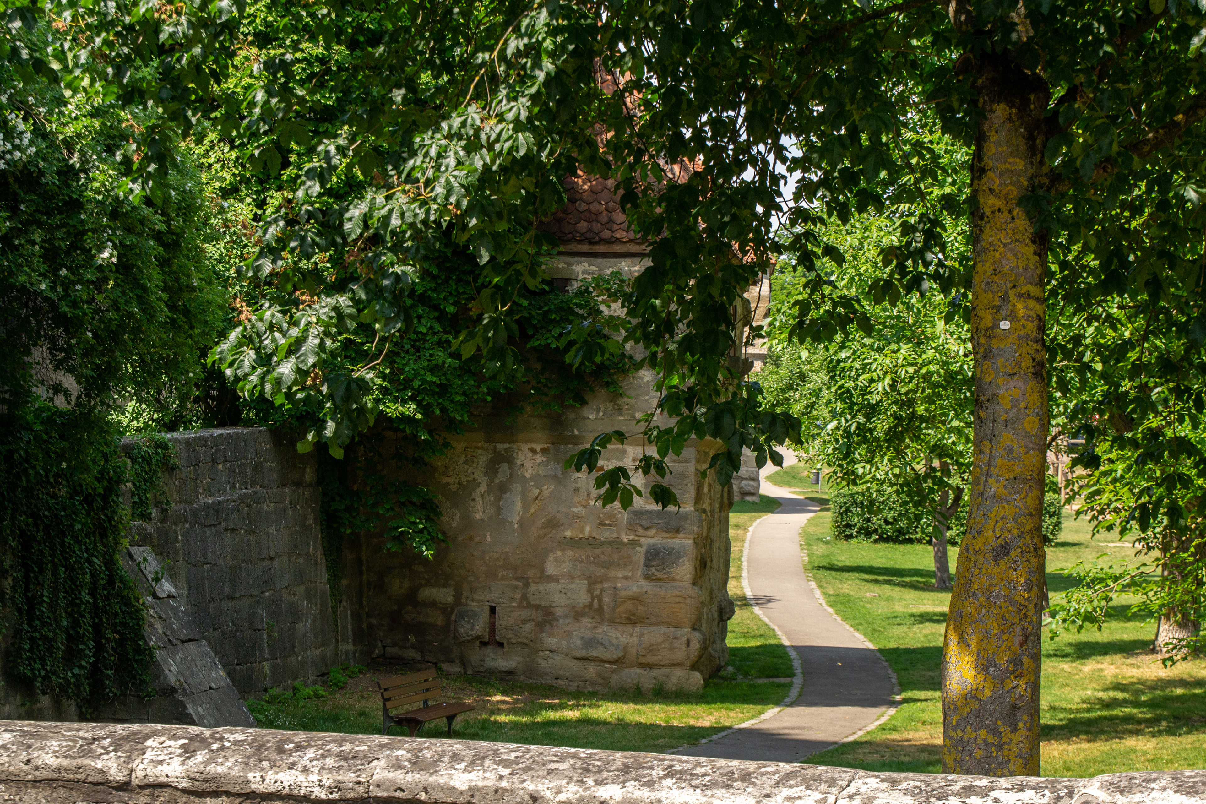 The dry moat outside the medieval walls of Rothenburg are now tranquil parklands.
