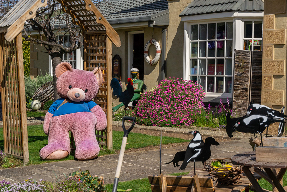 There's a bear there.....come inside.