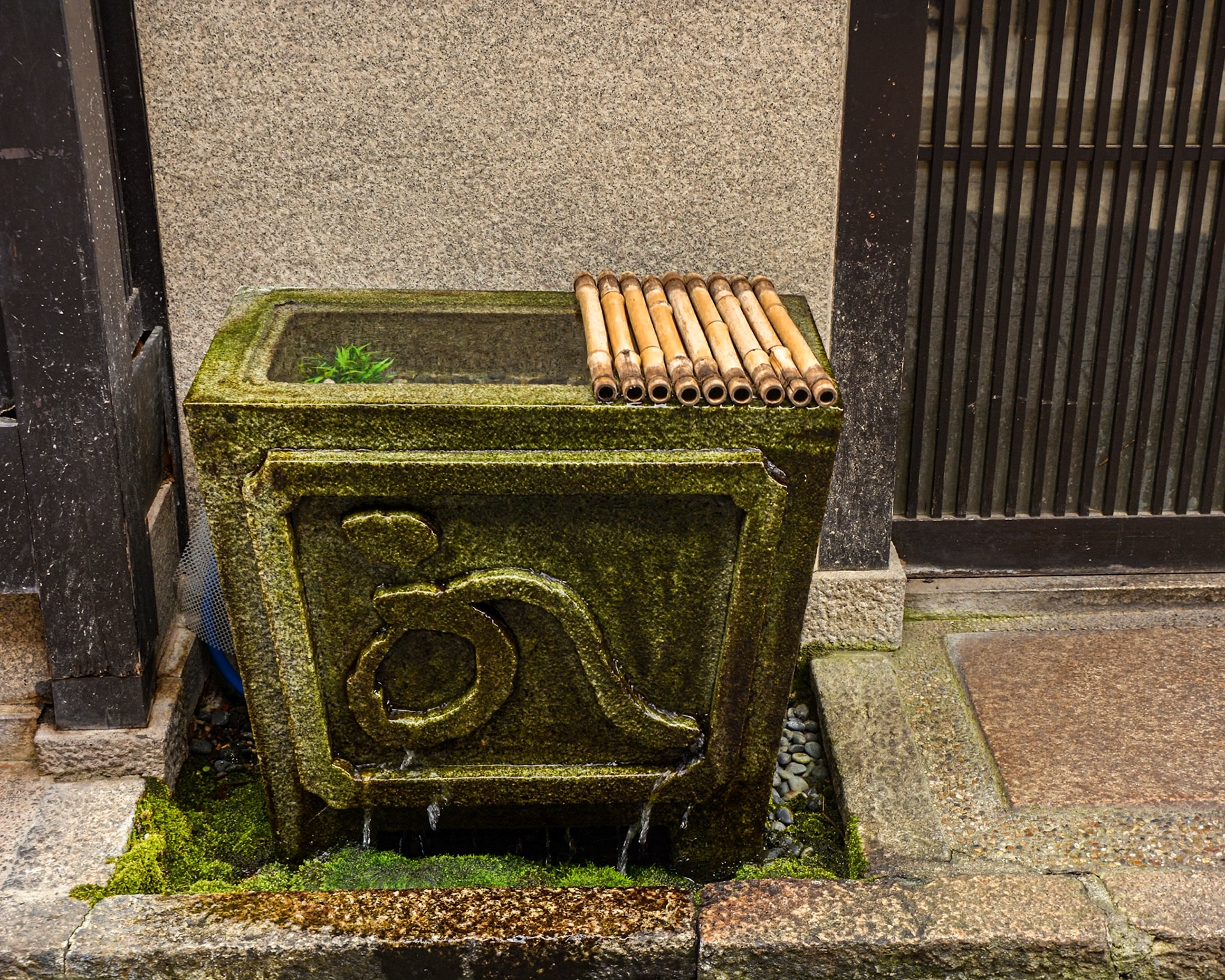 A moss-covered concrete tank with artistic form.