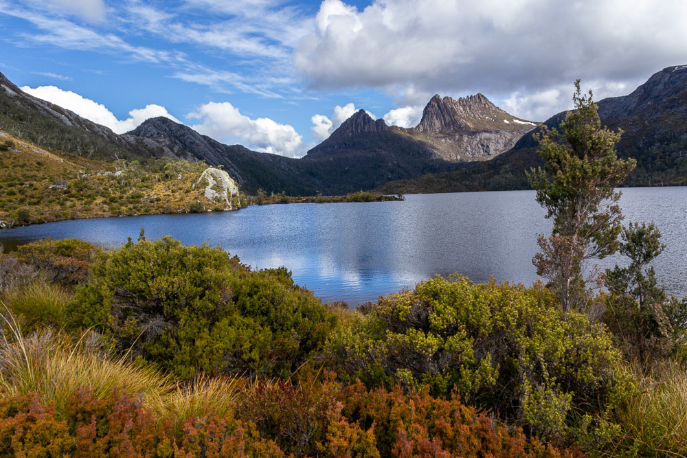 Cradle Mountain provides a spectacular backdrop to Dove Lake as we begin our trek around the lake circuit.
