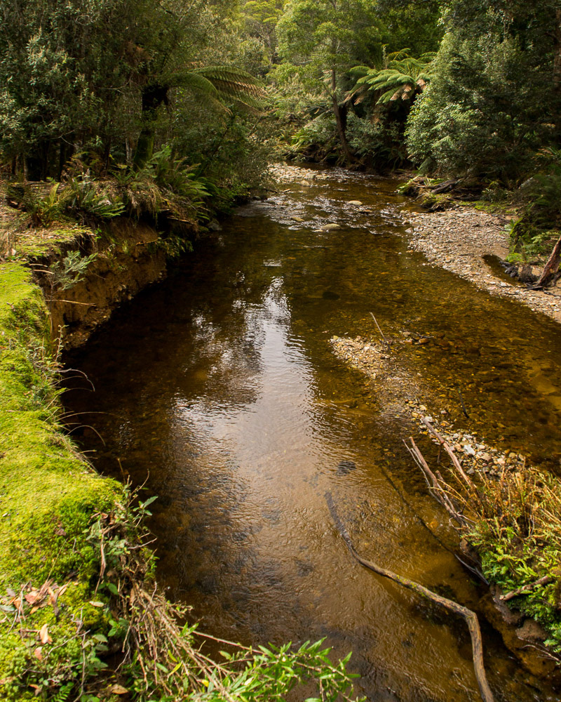 A crystal clear stream flows over a bed of time-rounded gravel.