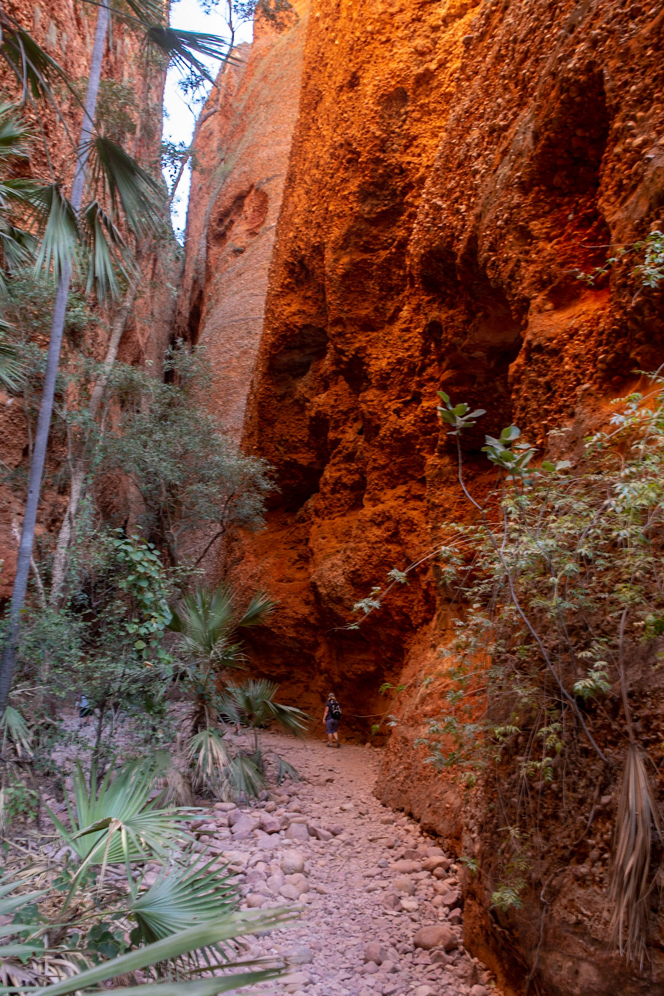 Colour and texture of the conglomerate rock provides for a dramatic entrance into Echidna Chasm