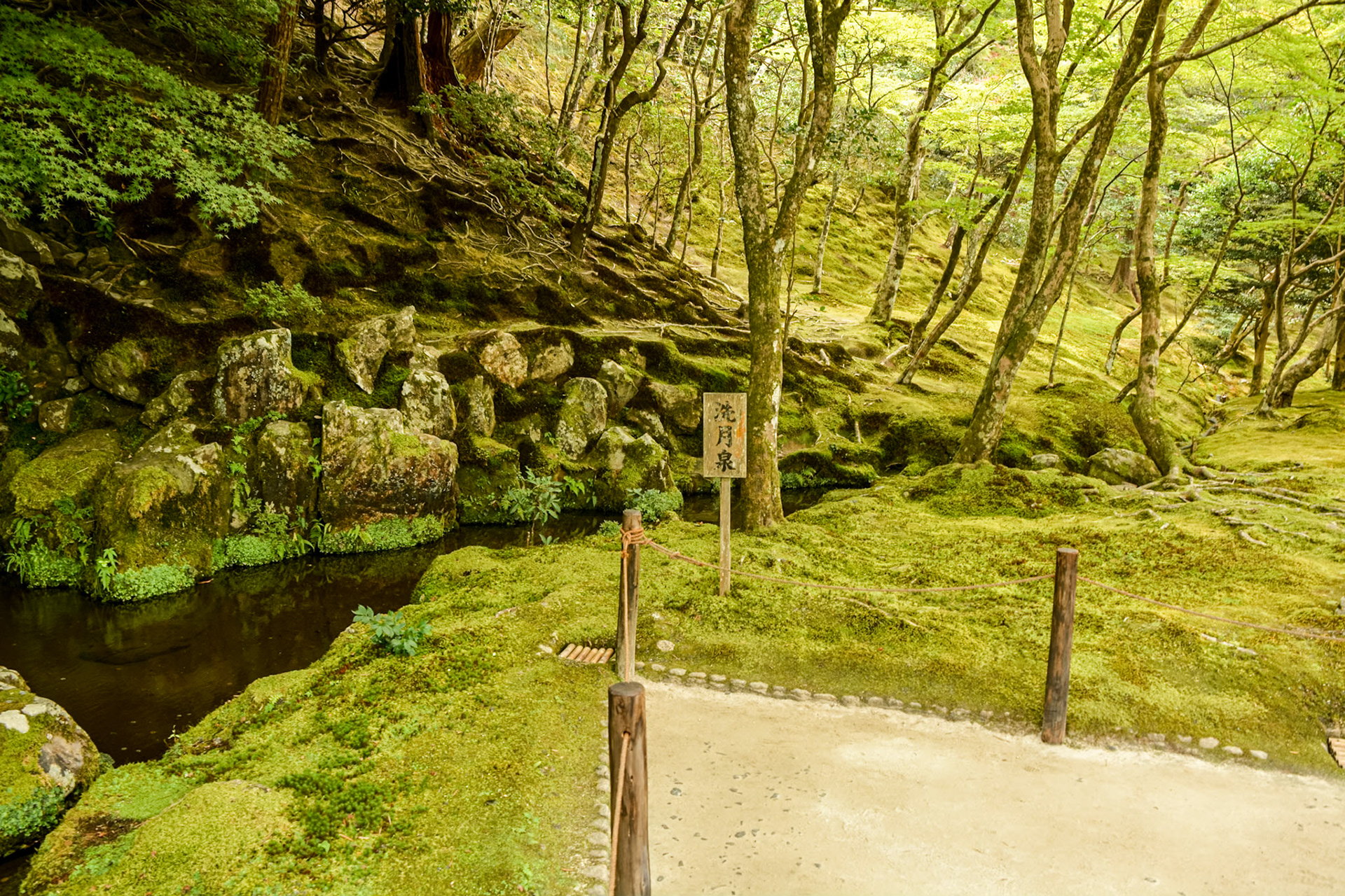 This pathway leads us from the sand garden into Ginkakuji's moss garden with its verdant colour palate draped over natural landforms.