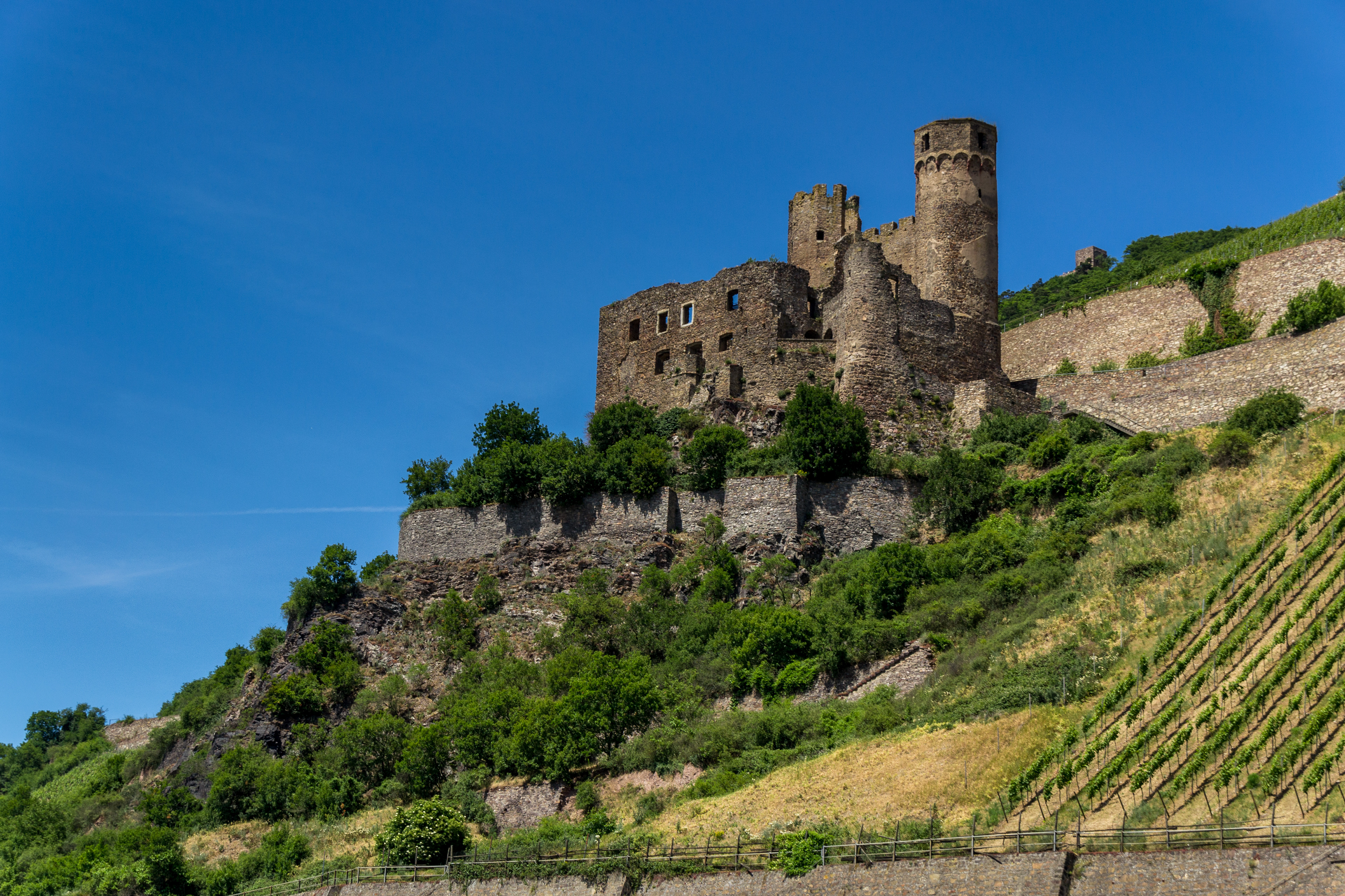 Ehrenfels Castle ruins above the Rhine Gorge near the town of Rüdesheim