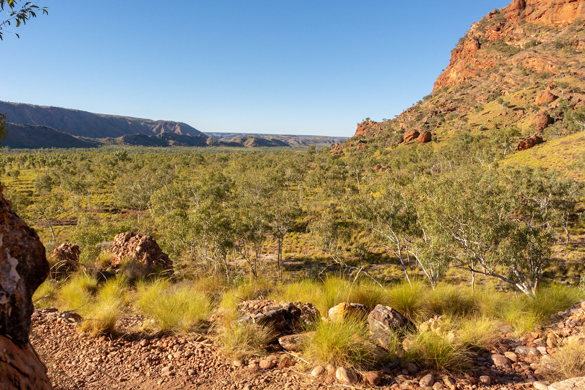 Views of the wild and rugged Osmand Range in the distance.