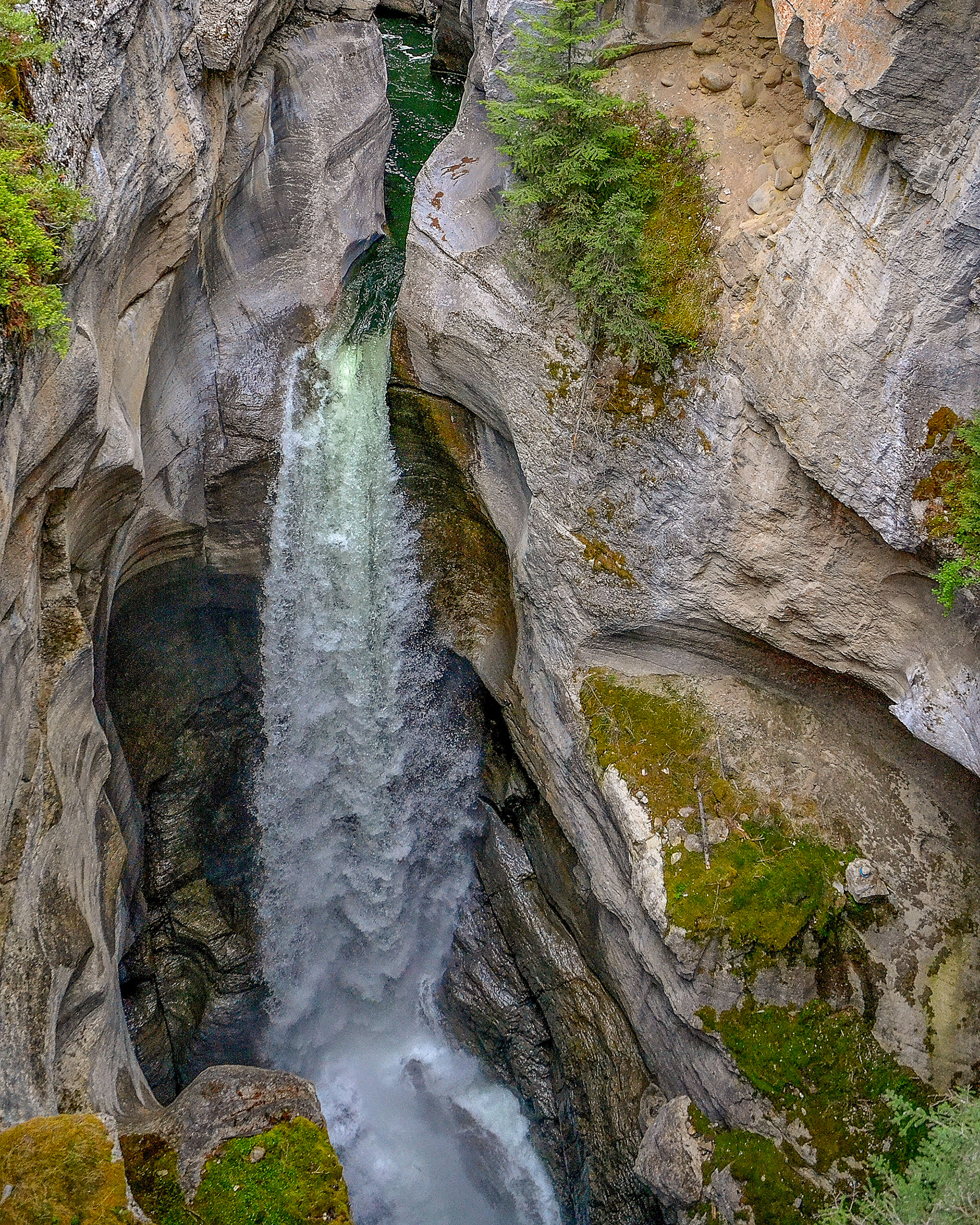 Maligne Canyon's swirling, churning water has worn the canyon, only 2m across in some points but plunging to a depth of more than 50m.