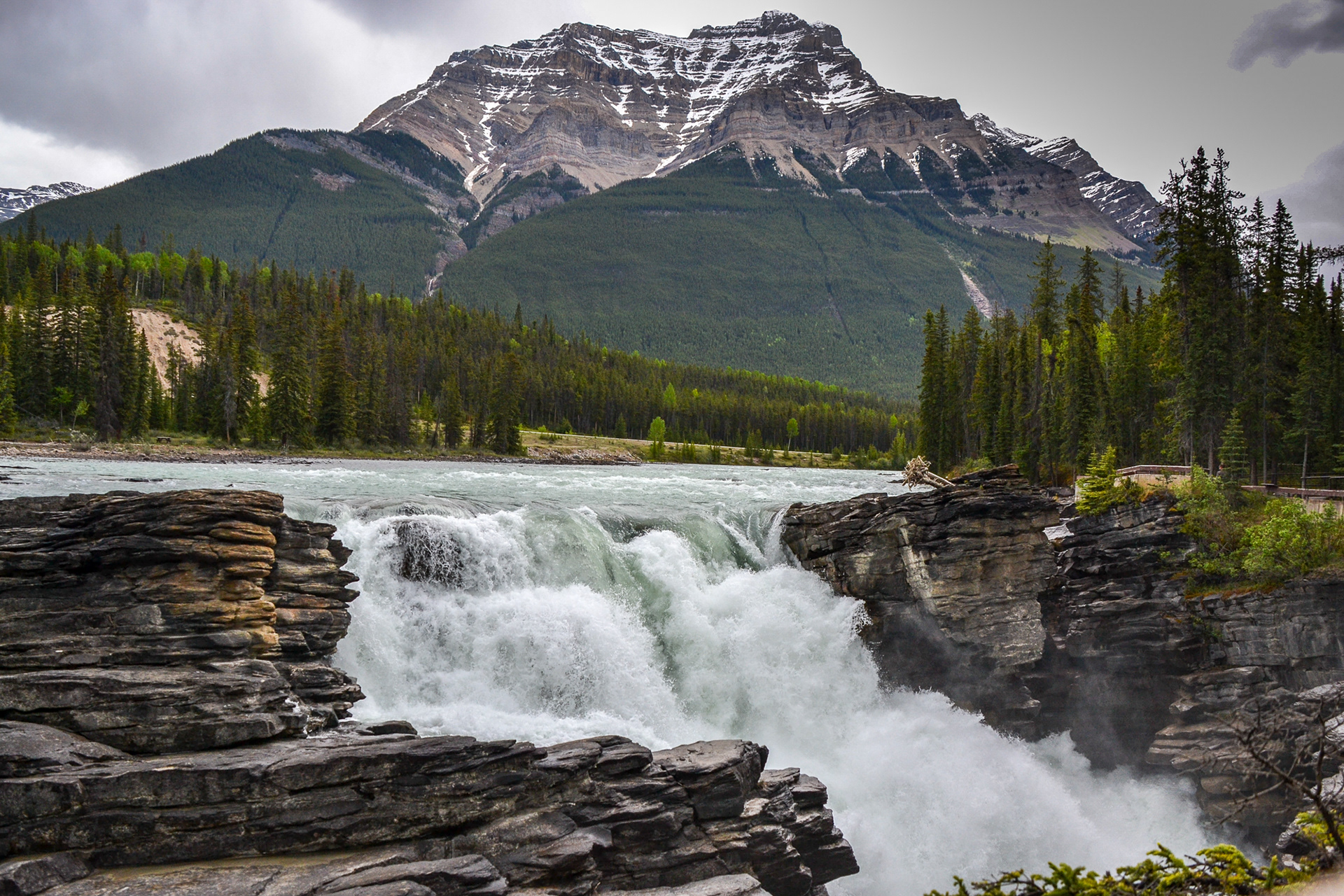 Water thunders over Athabasca Falls...... although not high the falls are renown for the huge volumes water flowing from snow melt.