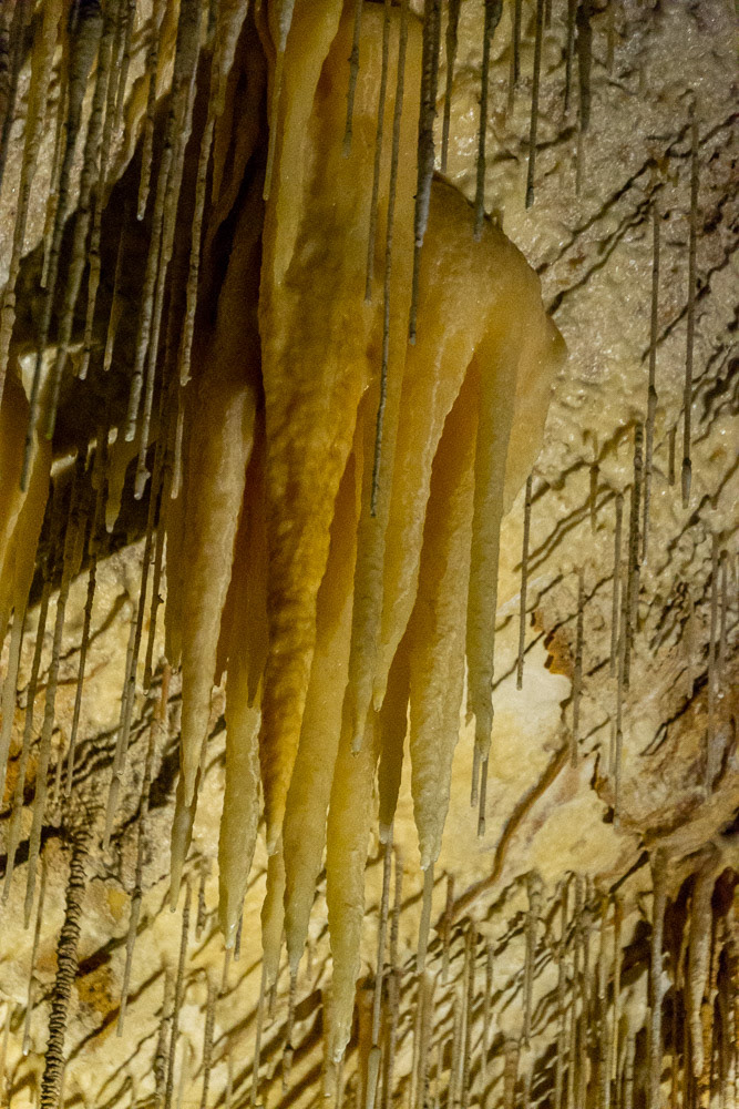 Strategic lighting dramatically highlights stalagmites and stalegtites of Hastings cave.