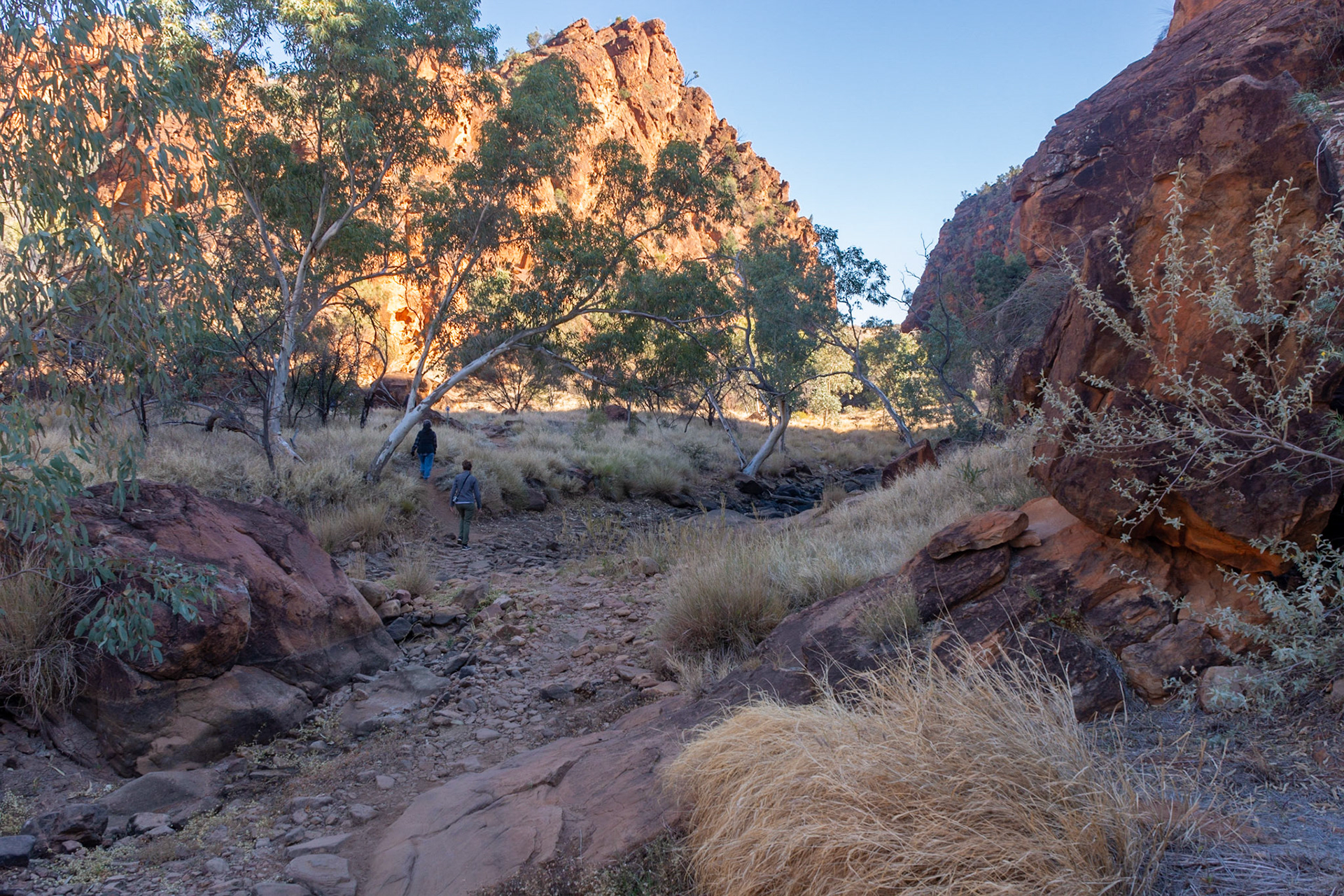 Morning walk through the hills N'Dhala Gorge Nature Park