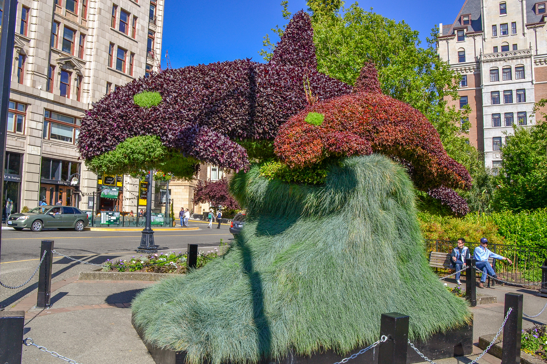 Topiary - celebrating the Orca.