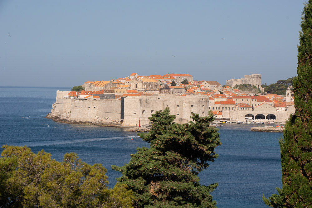 The fortified walls of the Old Town area of Dubrovnik framed by pines as we make our way along the coastal strip towards the city.