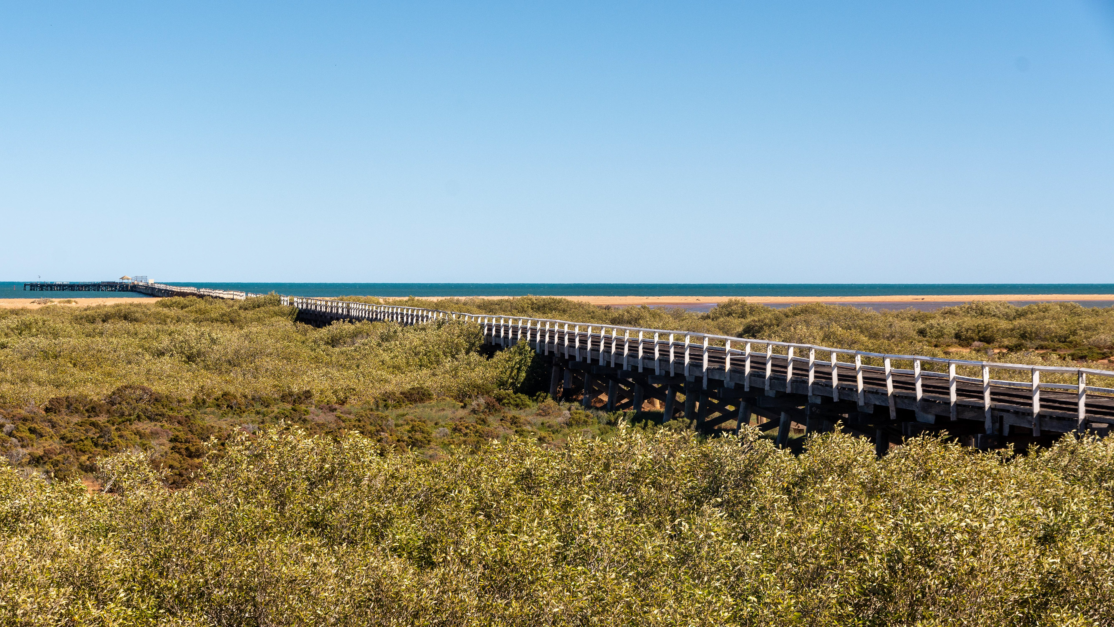 Canarvon - One Mile Jetty stretches over mangroves towards the horizon.