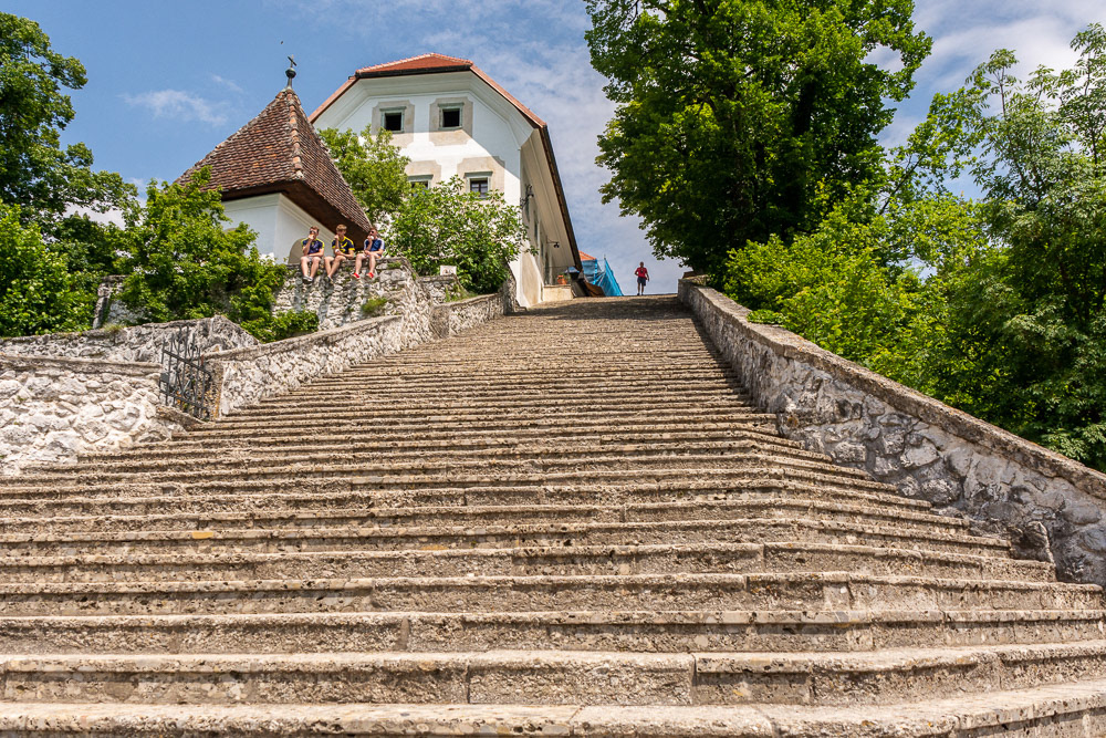 The Baroque stairway dating from 1655 with 99 stone steps leading up to the Assumption of Mary church on Bled Island.