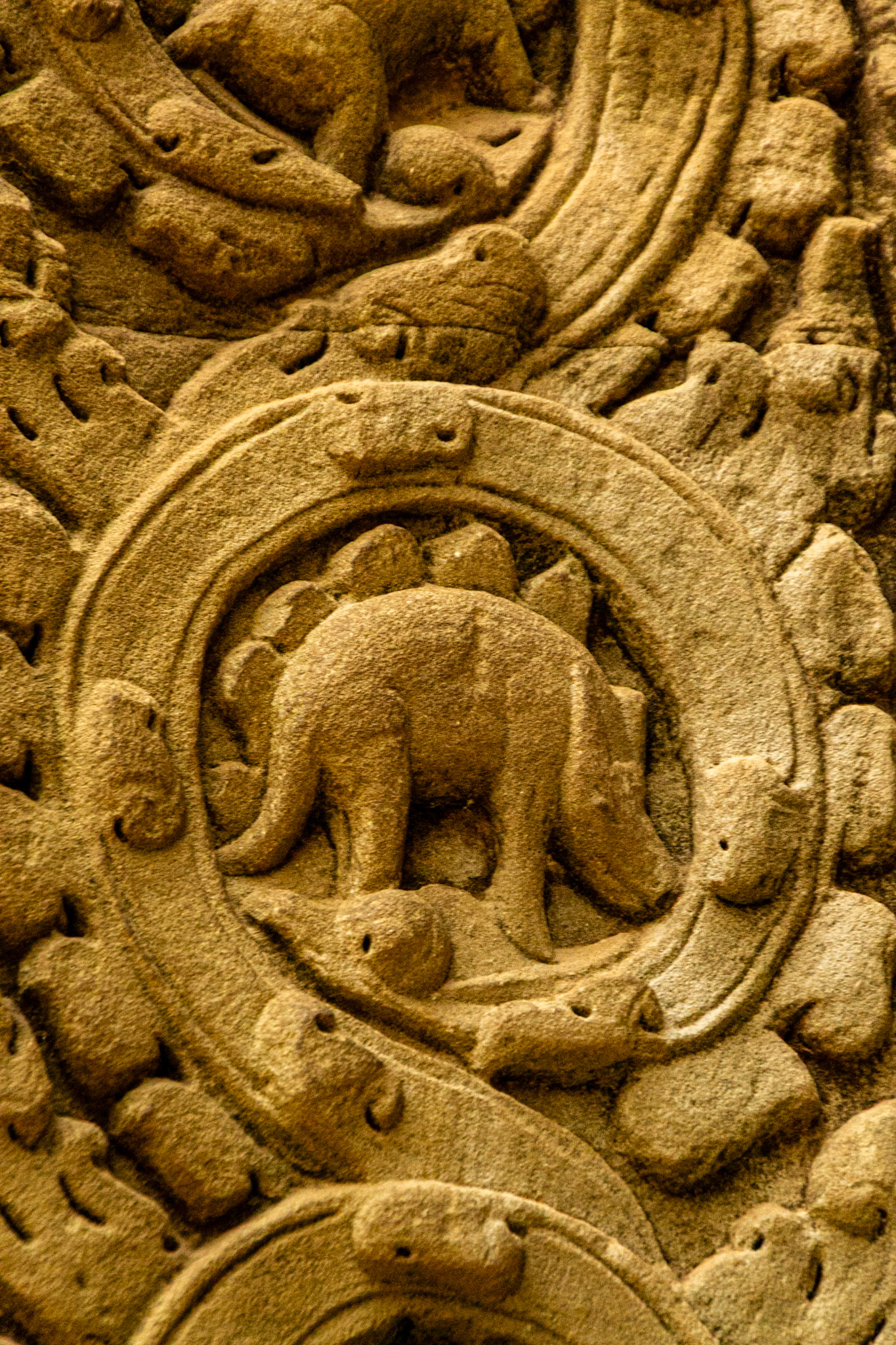 The "dinosaur of Ta Prohm", one of the reliefs of the temple popular in pseudo-science.