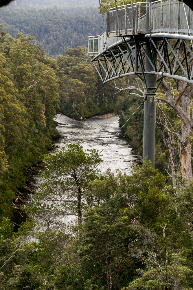 Tarhune Forest skywalk cantilevered 50 metres above the Huon River.