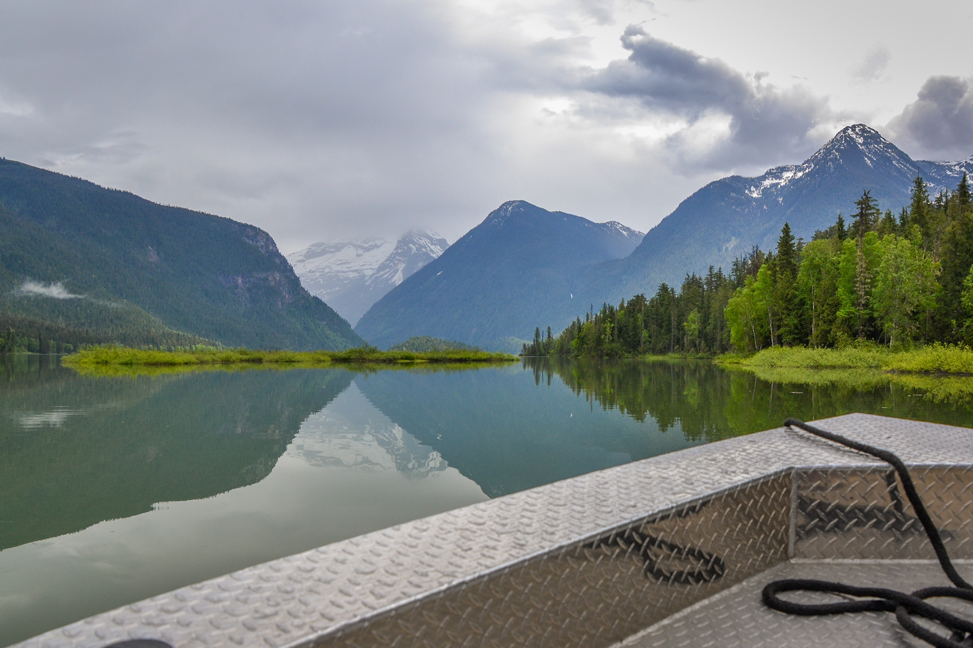 The calm waters of the Blue River reflect the conifer lined banks and mountains as we set off in search of wildlife.