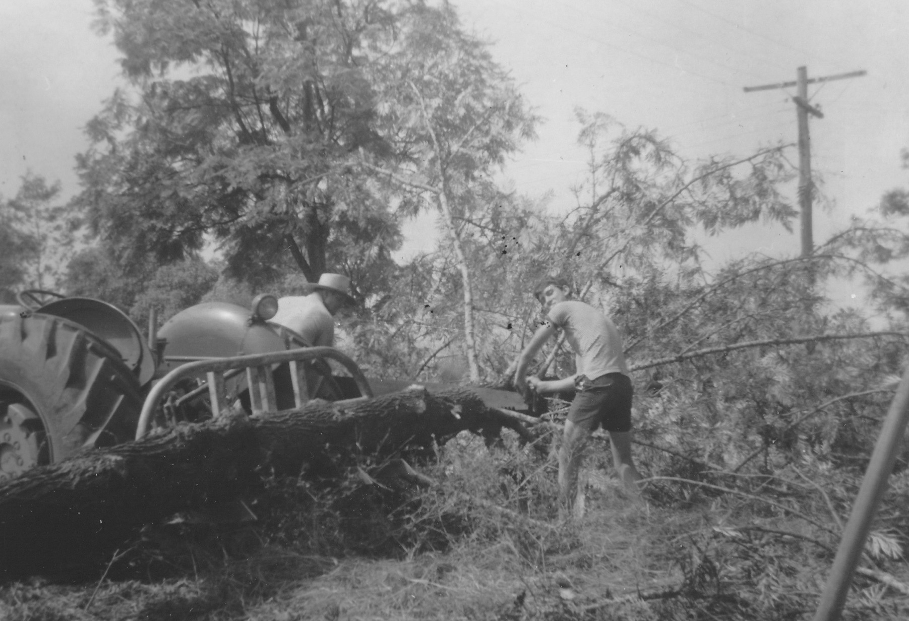 Ed and Ross tree cutting with a 2-man cross-cut saw.