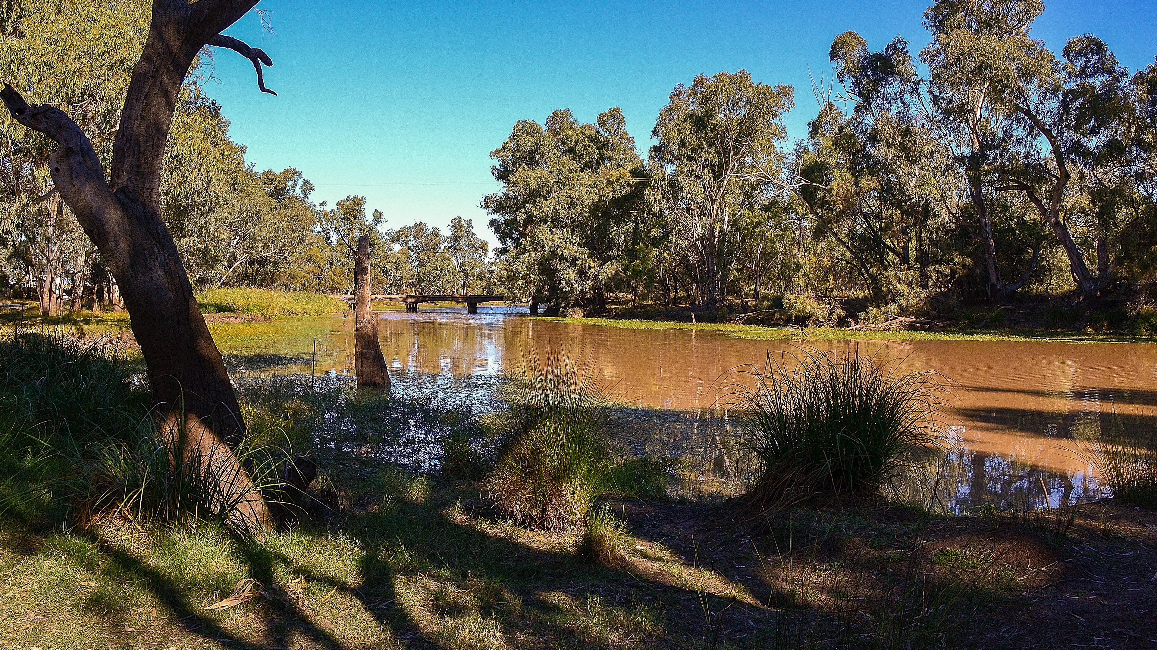 Nindigully waterhole.
