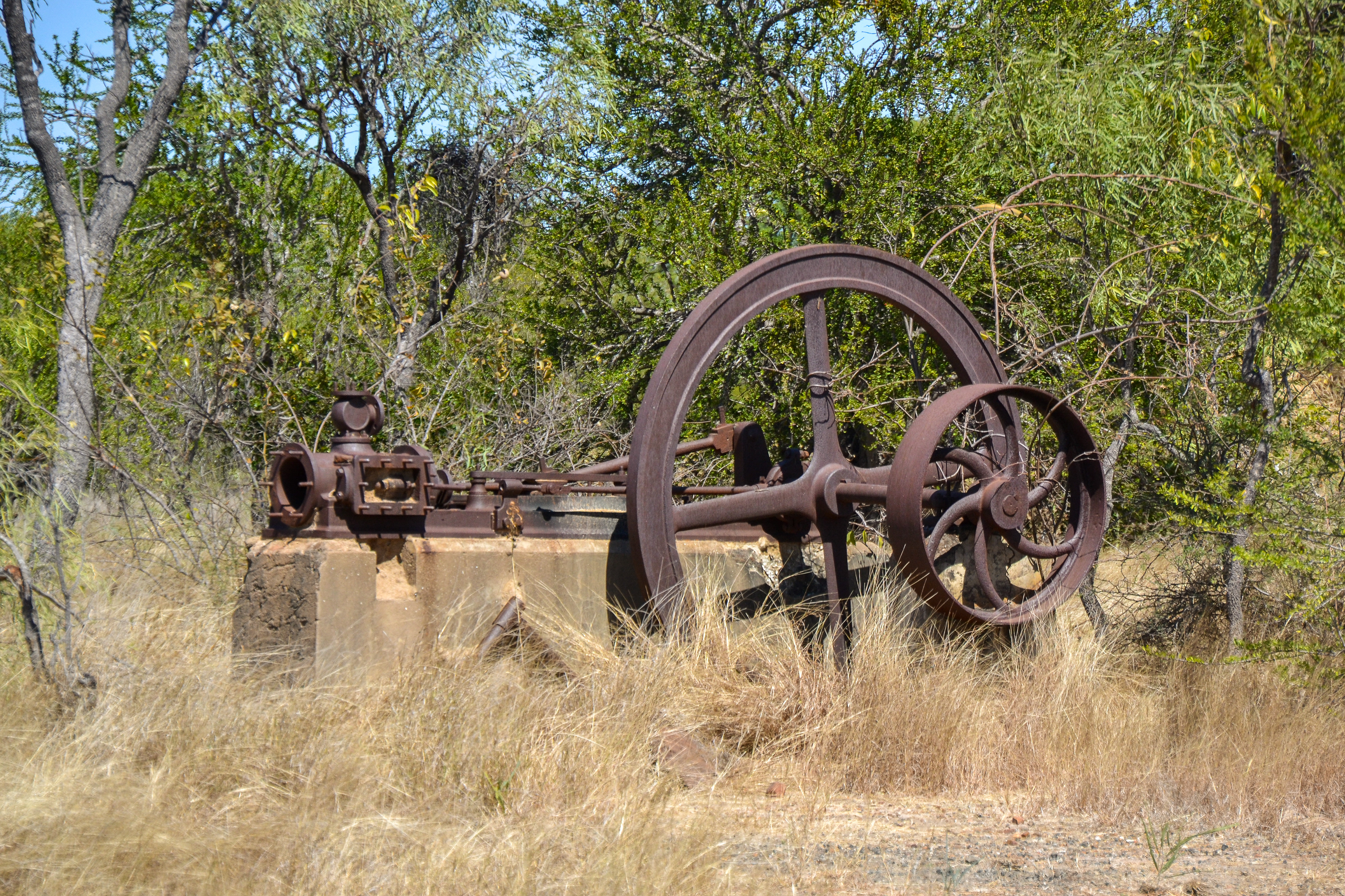The first boiling down works was established in 1867. The plan was to cure beef in brine for export to Batavia.
